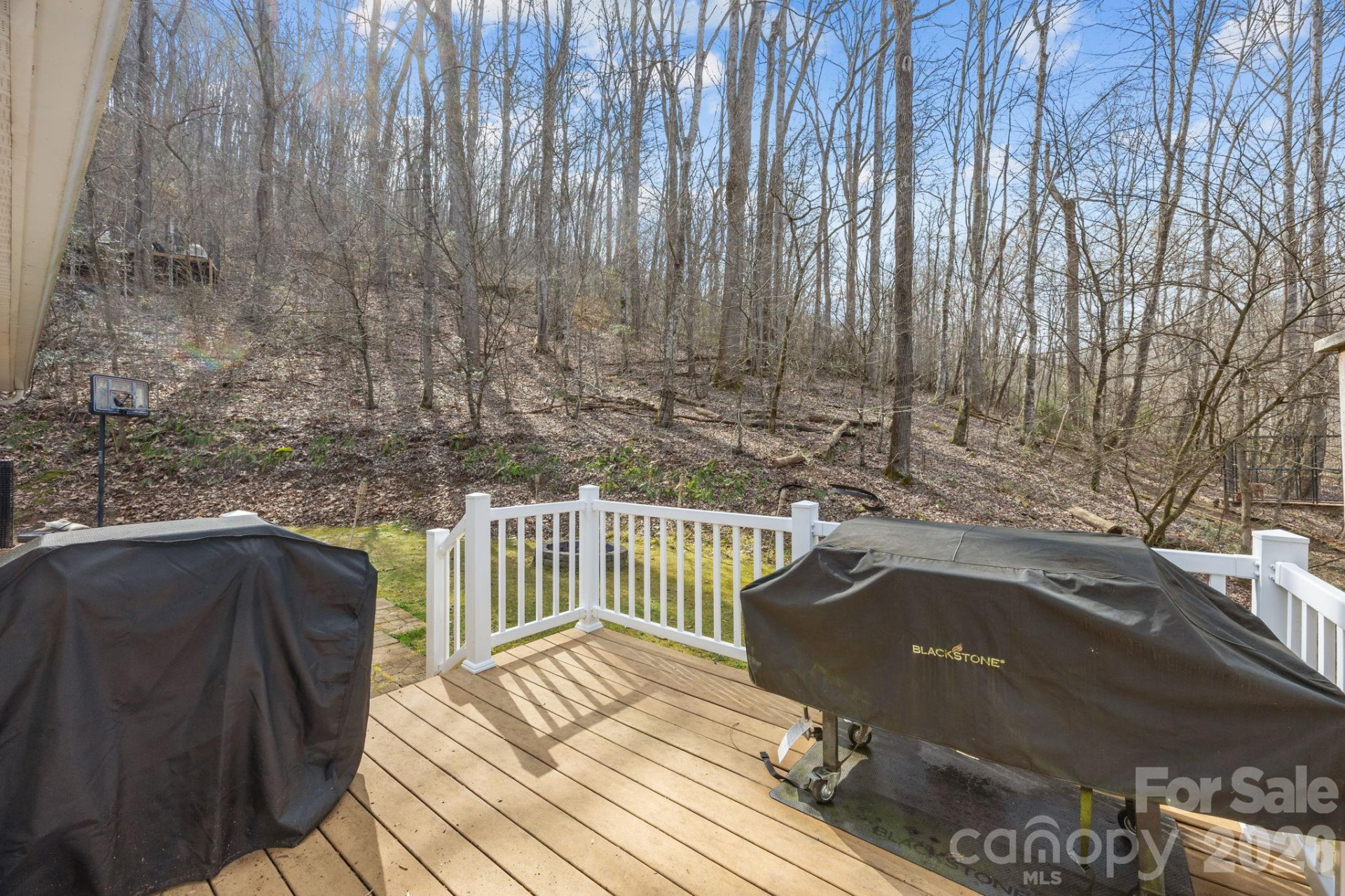 400 Honey Locust Trail - Photo 9