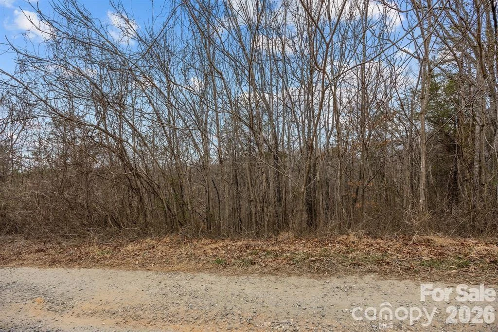 Lot 103 Glenhaven Drive - Photo 3