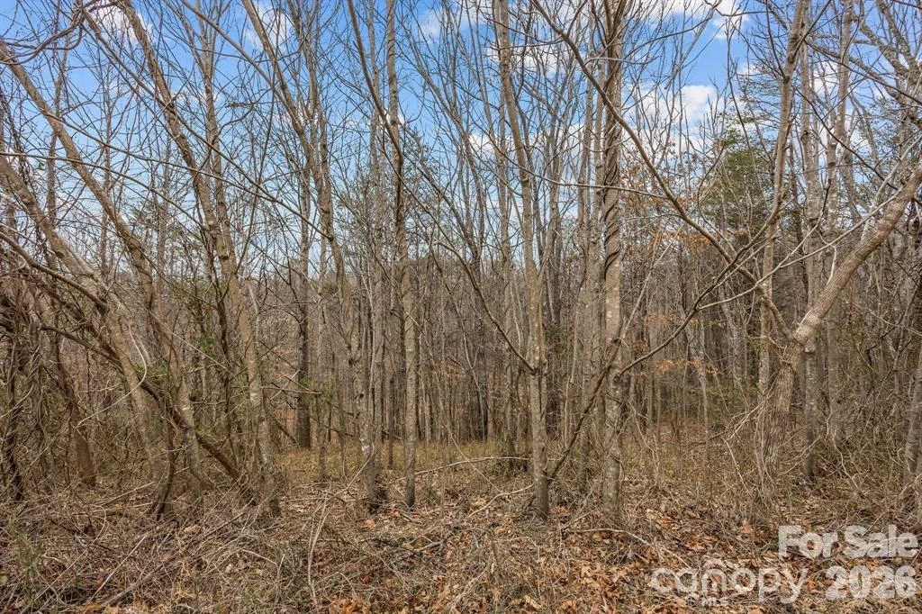 Lot 103 Glenhaven Drive - Photo 4