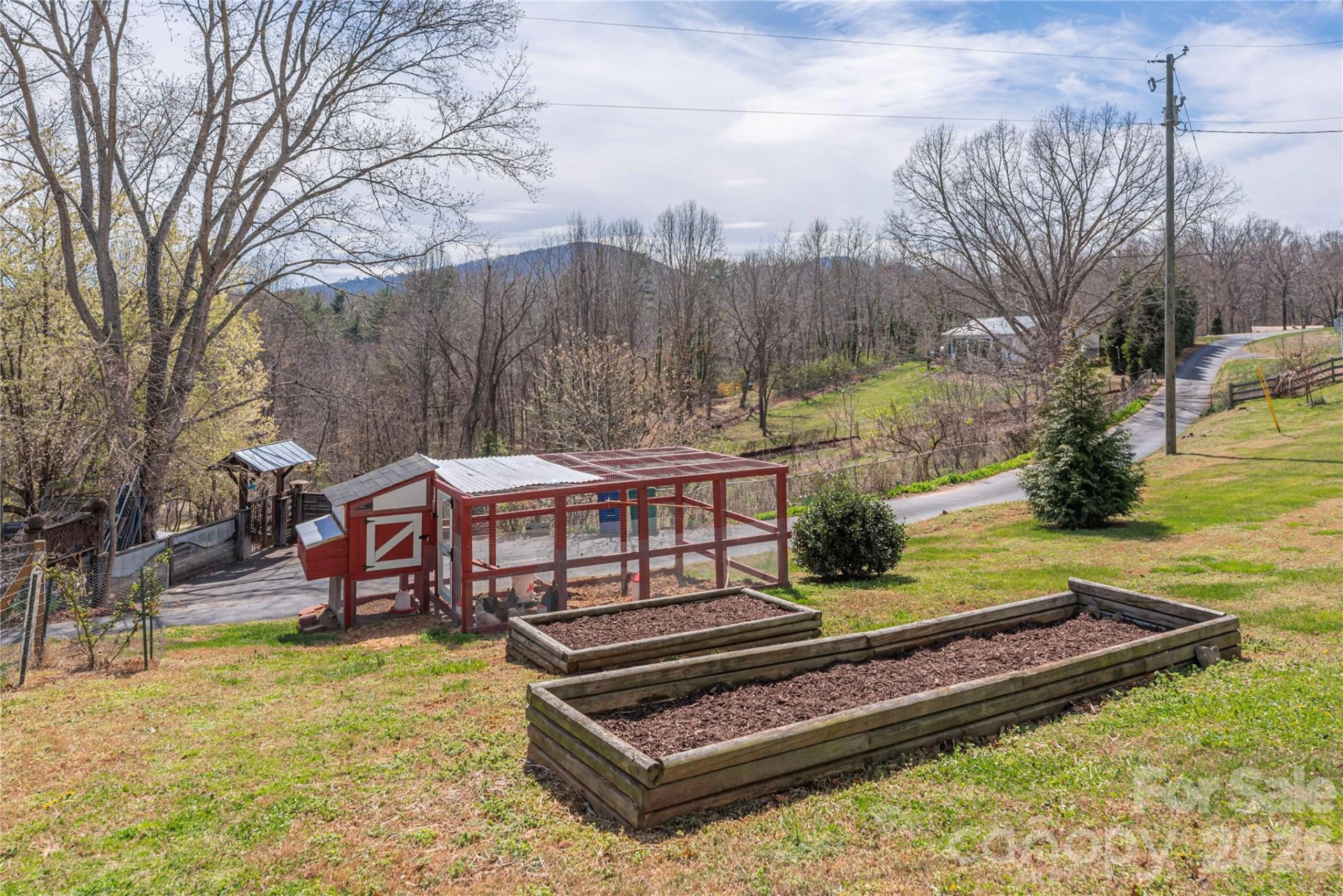20 Golden Tree Lane - Photo 19