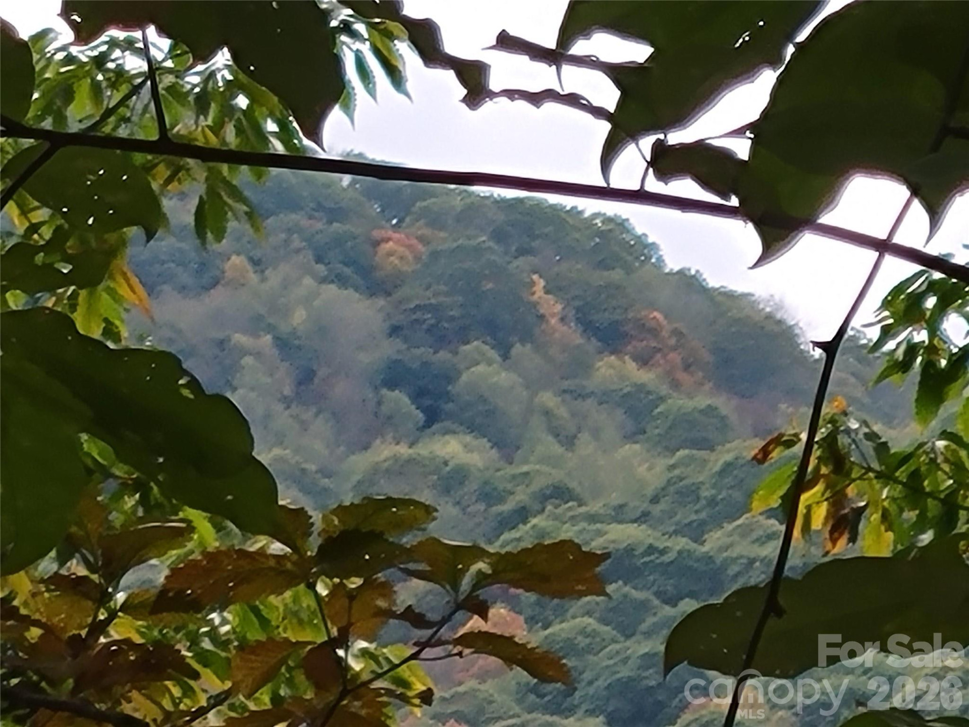 00 Covecrest Lane #15 - Photo 5