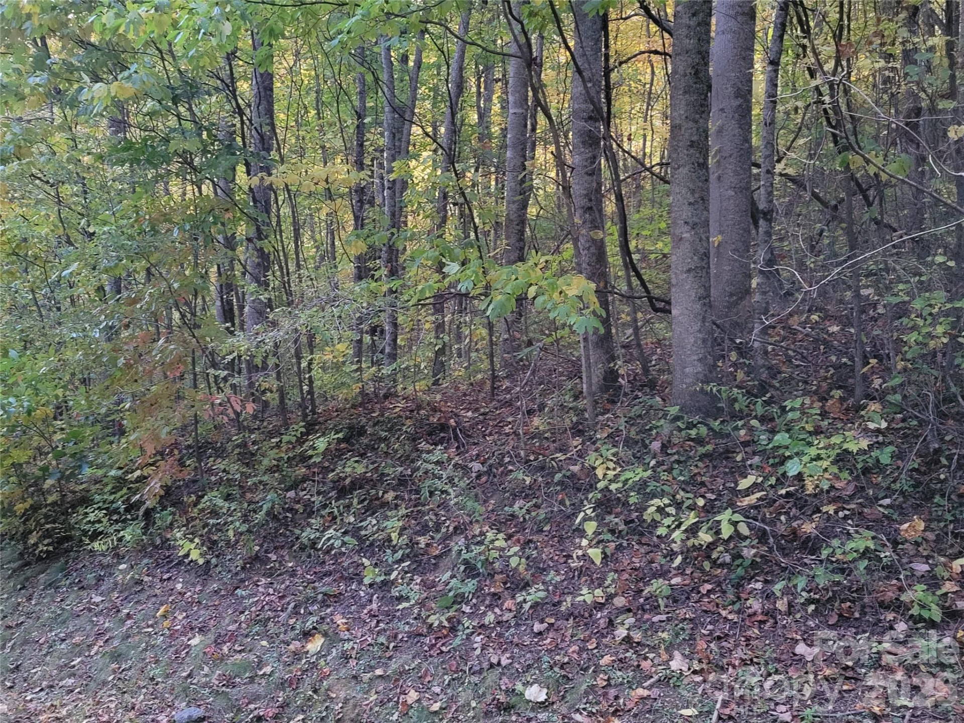 00 Covecrest Lane #15 - Photo 6