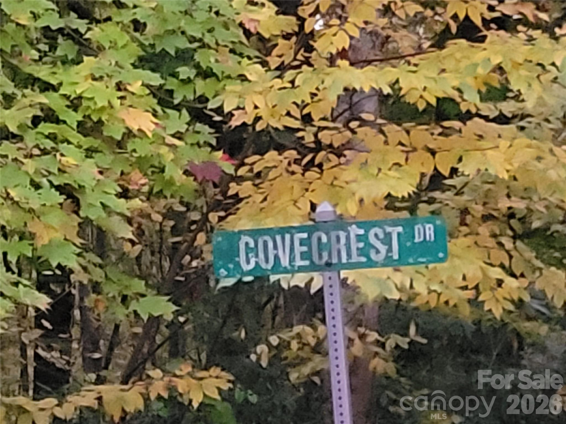 00 Covecrest Lane #15 - Photo 7