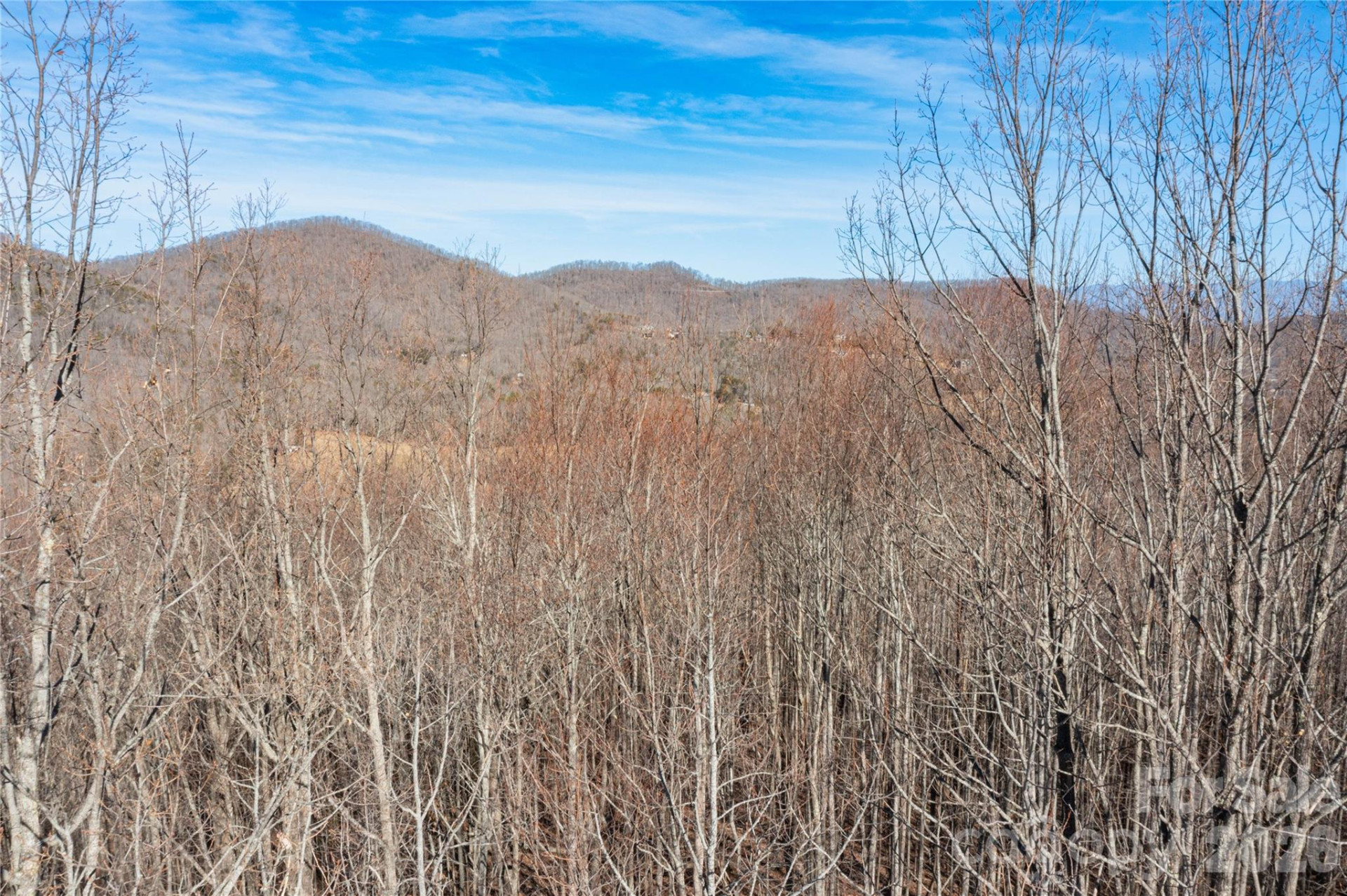 1306 Double KNob Drive - Photo 19