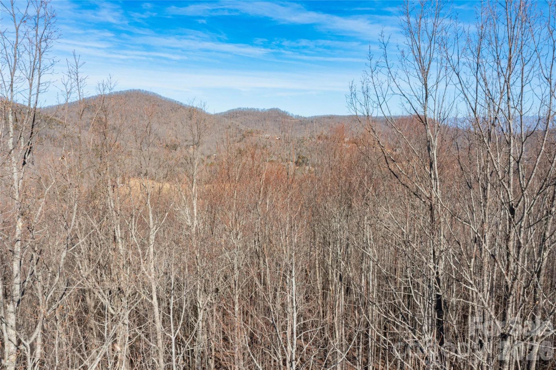 1306 Double KNob Drive - Photo 19