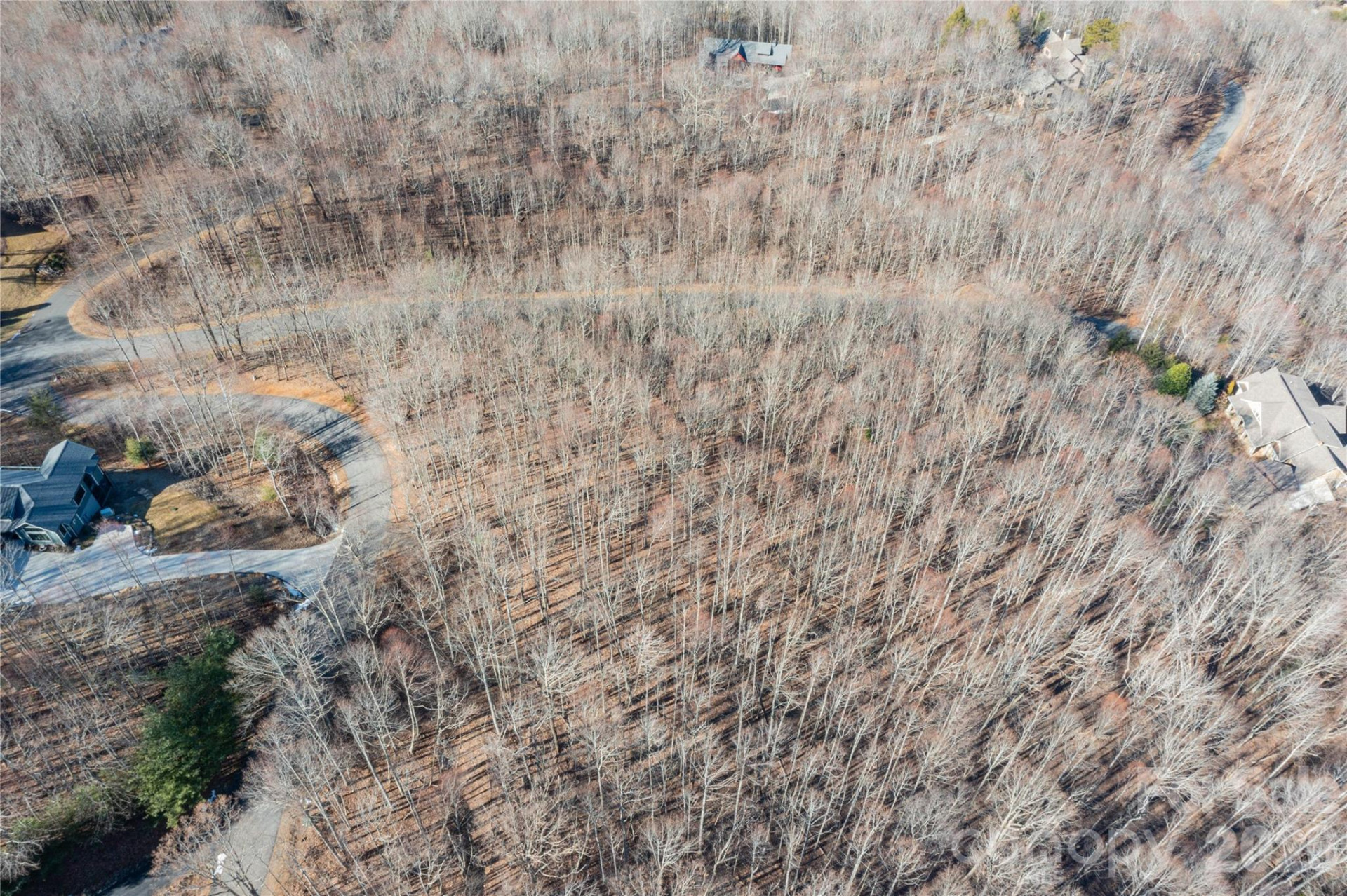 1306 Double KNob Drive - Photo 8