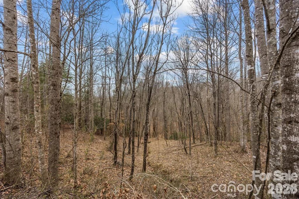 Lot 106 Glenhaven Drive - Photo 3