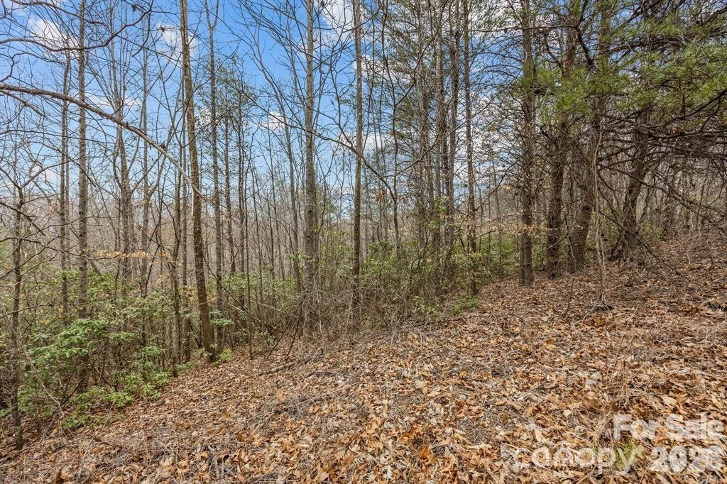 Lot 106 Glenhaven Drive - Photo 4