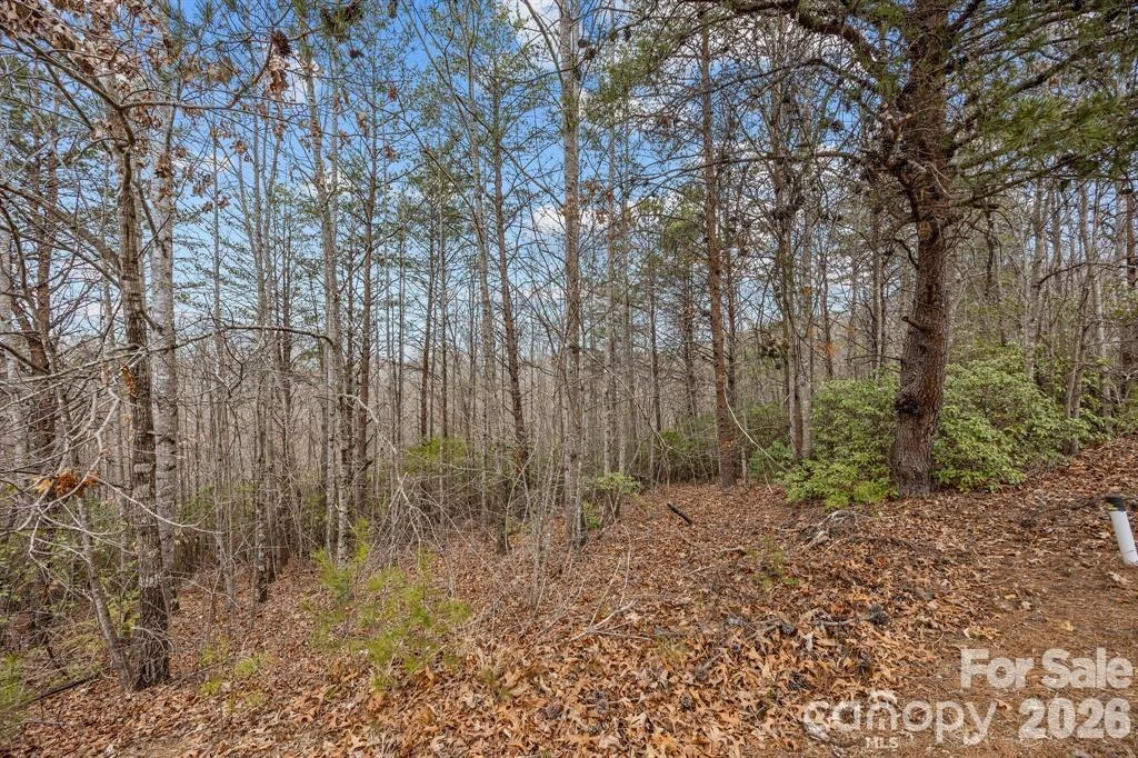 Lot 107 Glenhaven Drive - Photo 3