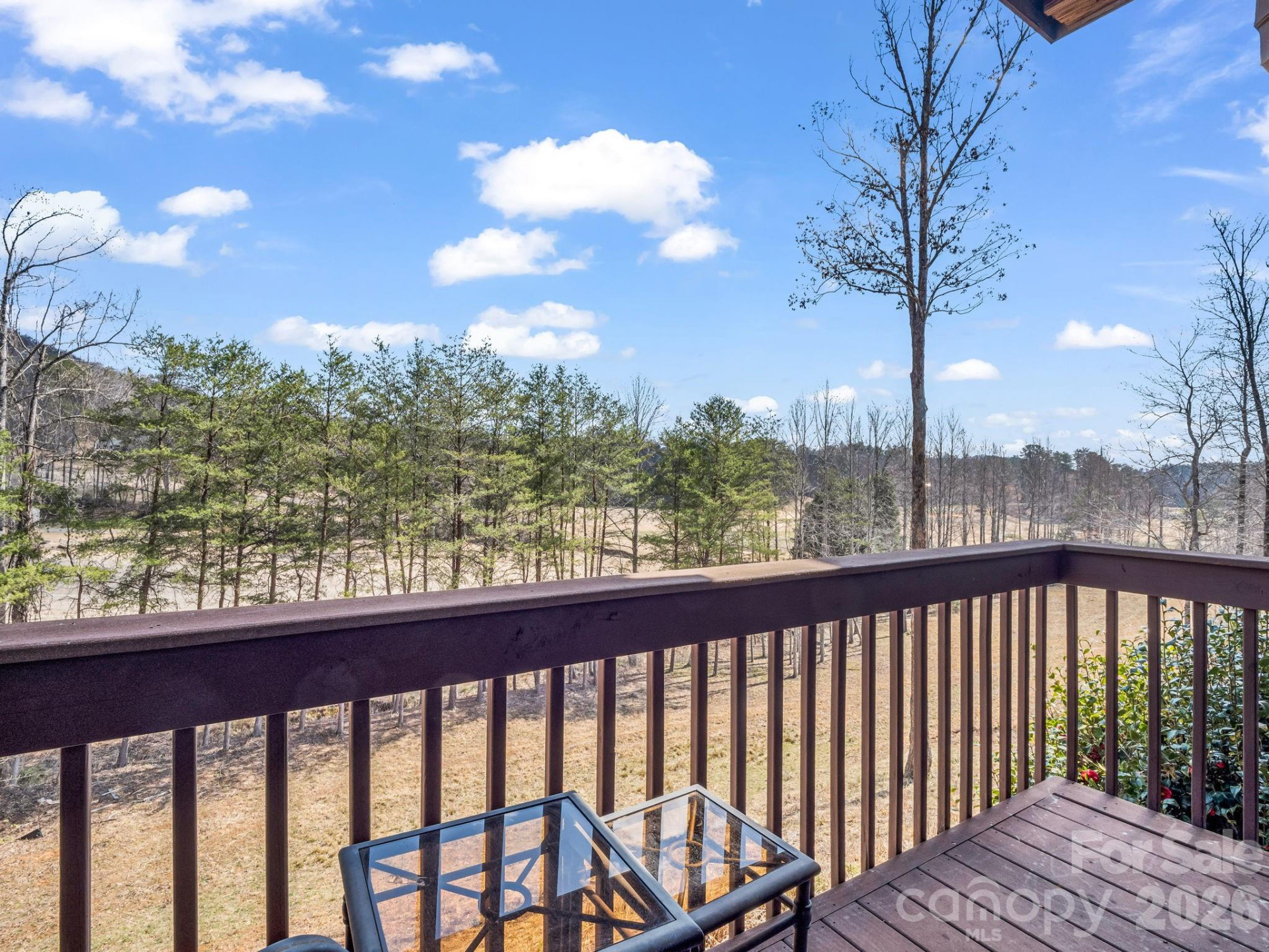 268 Wambli Pass - Photo 39