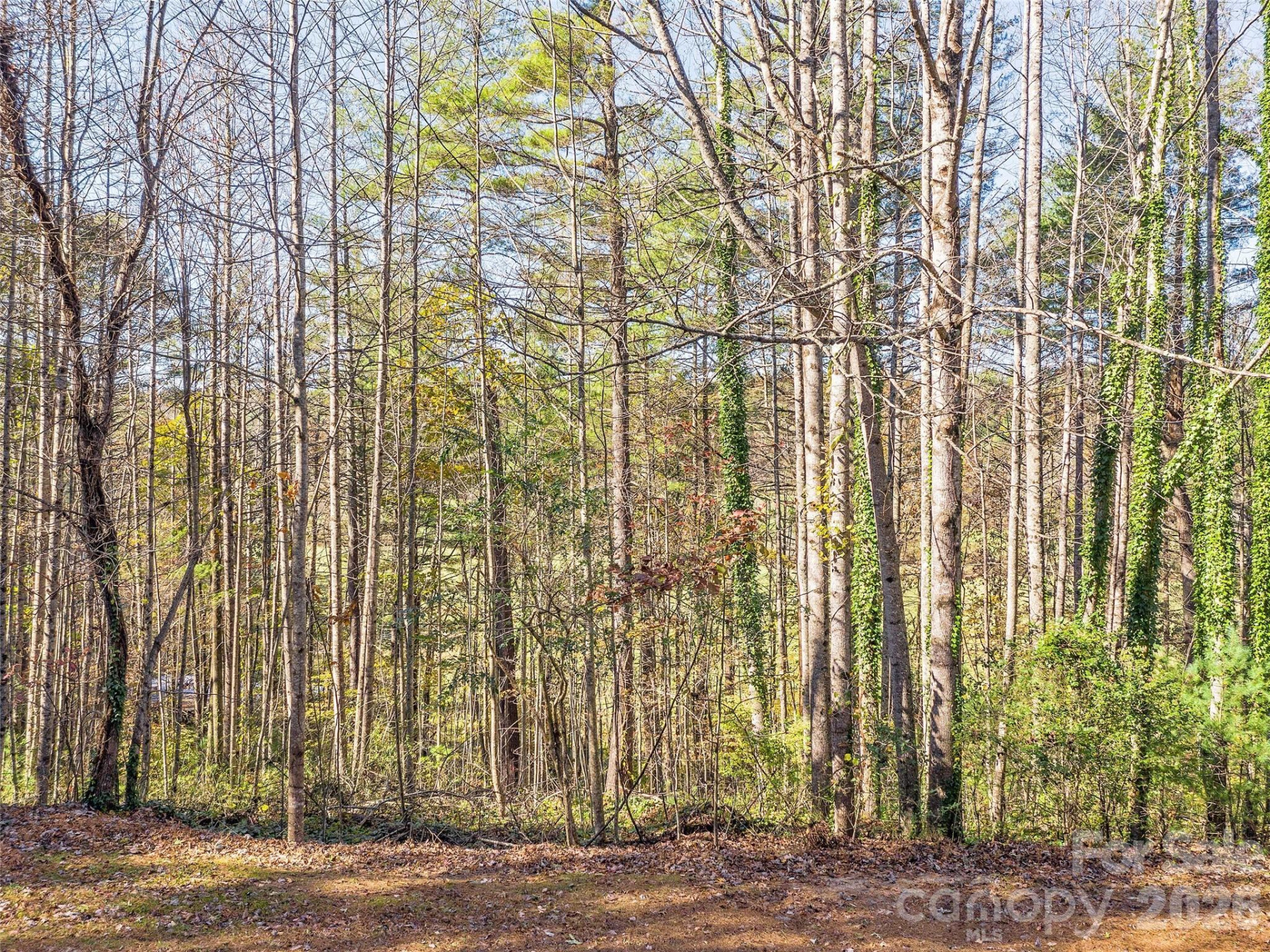 LOTS 14 & 15 Mountain Lake Drive - Photo 5