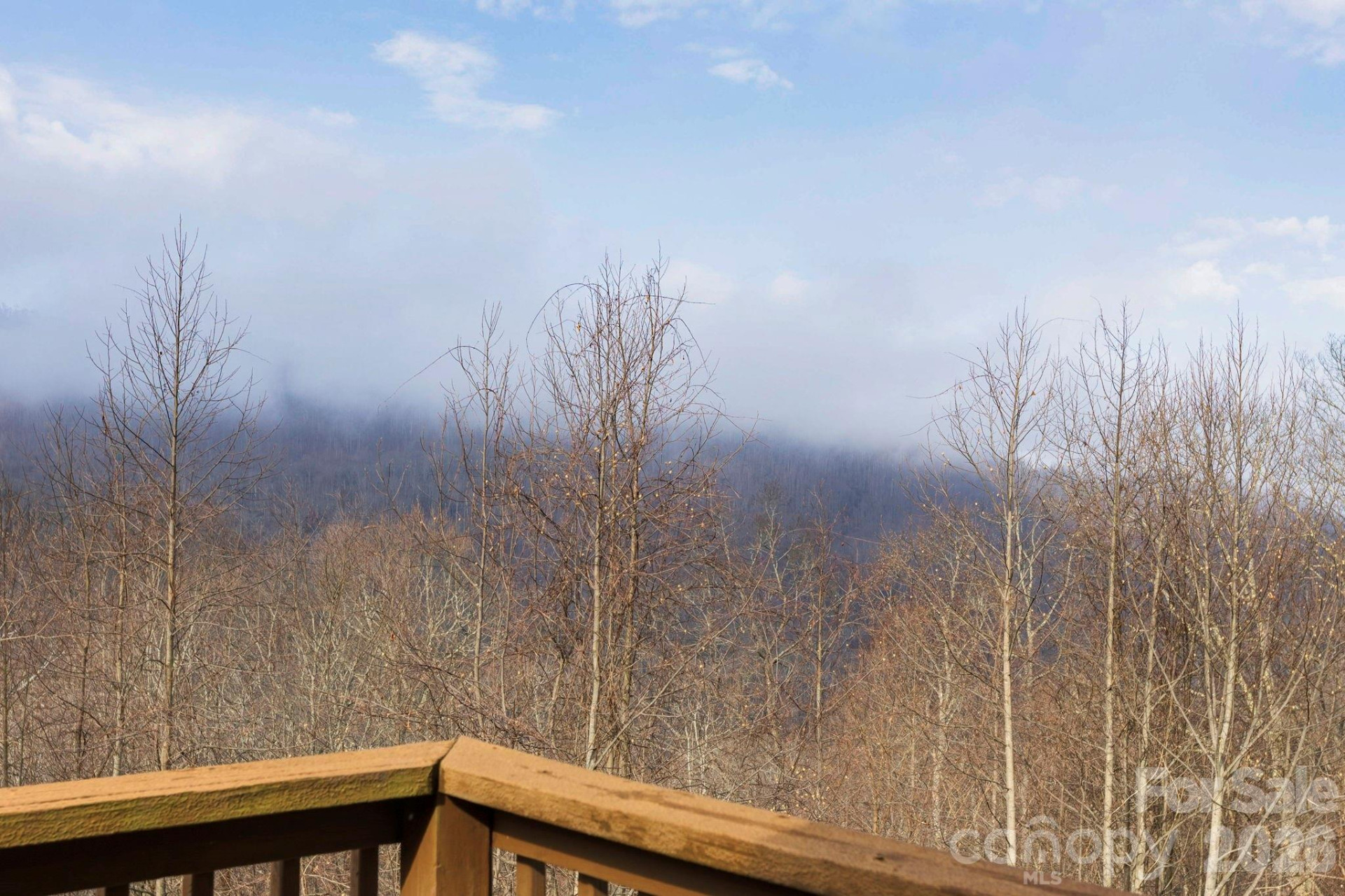 11 Roberts Drive - Photo 33