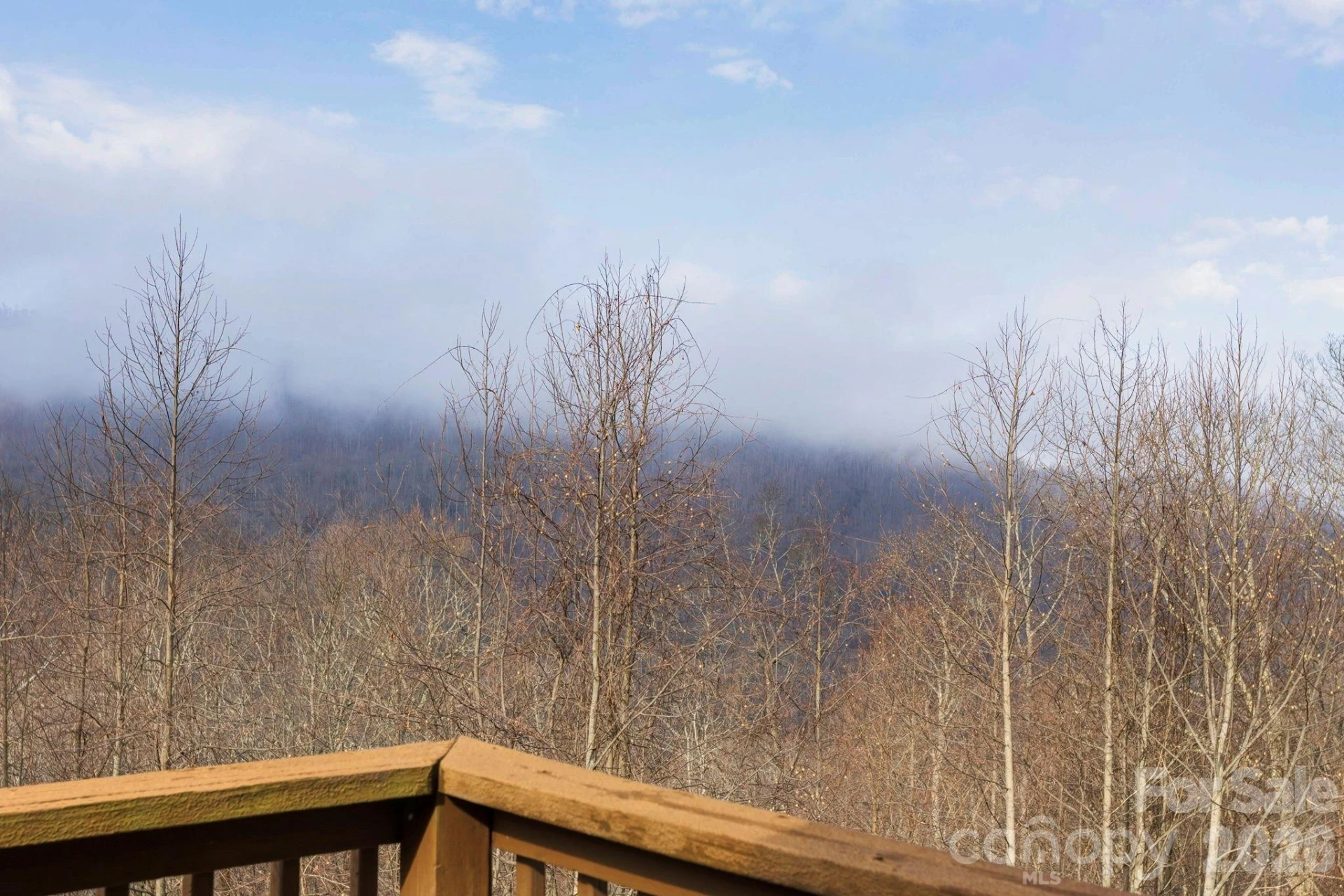 11 Roberts Drive - Photo 33