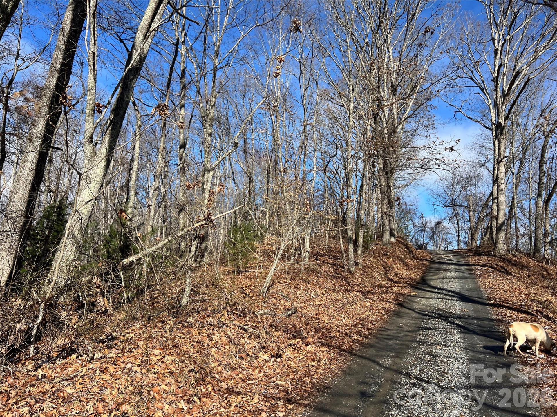 1974 Ammons Branch Road - Photo 12
