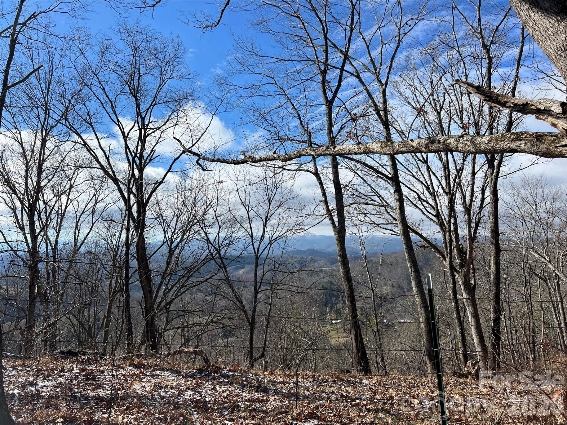 1974 Ammons Branch Road - Photo 13