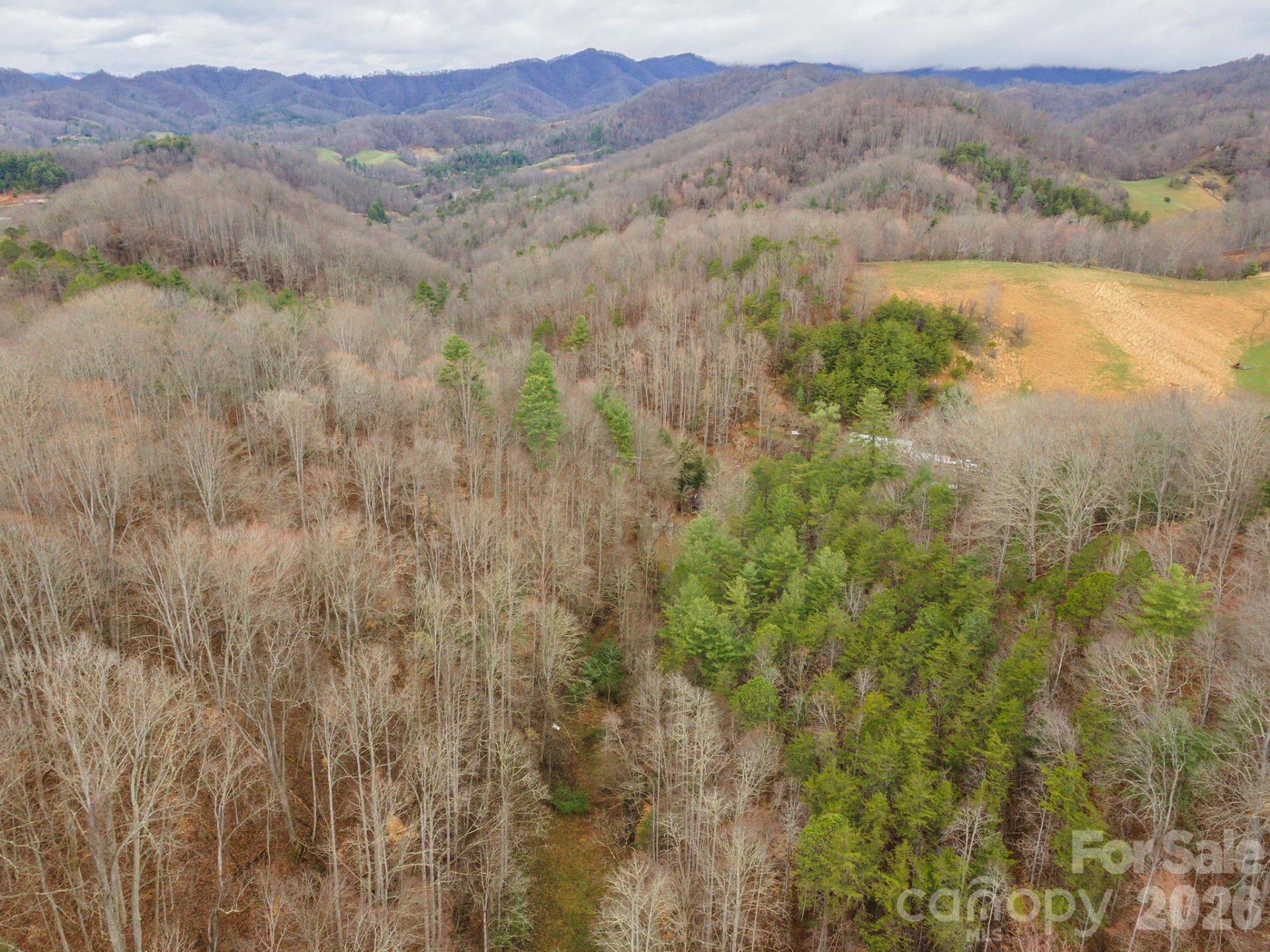 1974 Ammons Branch Road - Photo 4