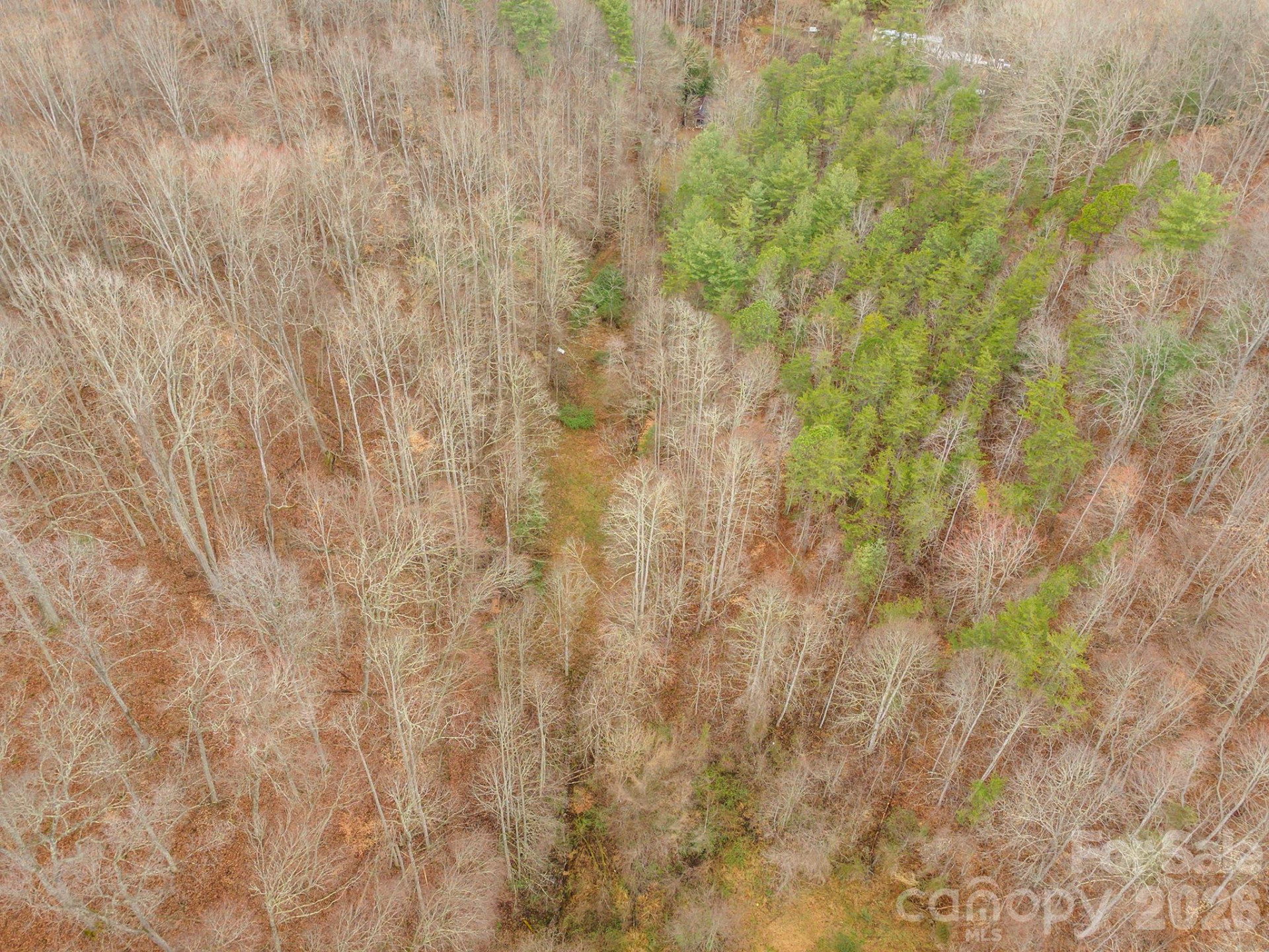 1974 Ammons Branch Road - Photo 5