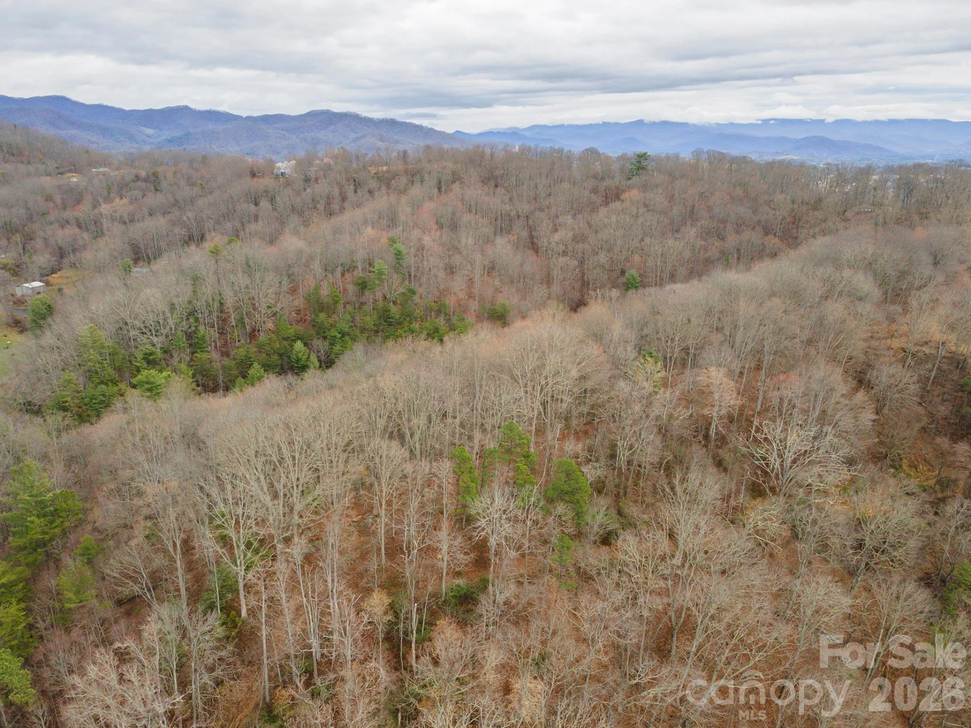 1974 Ammons Branch Road - Photo 6