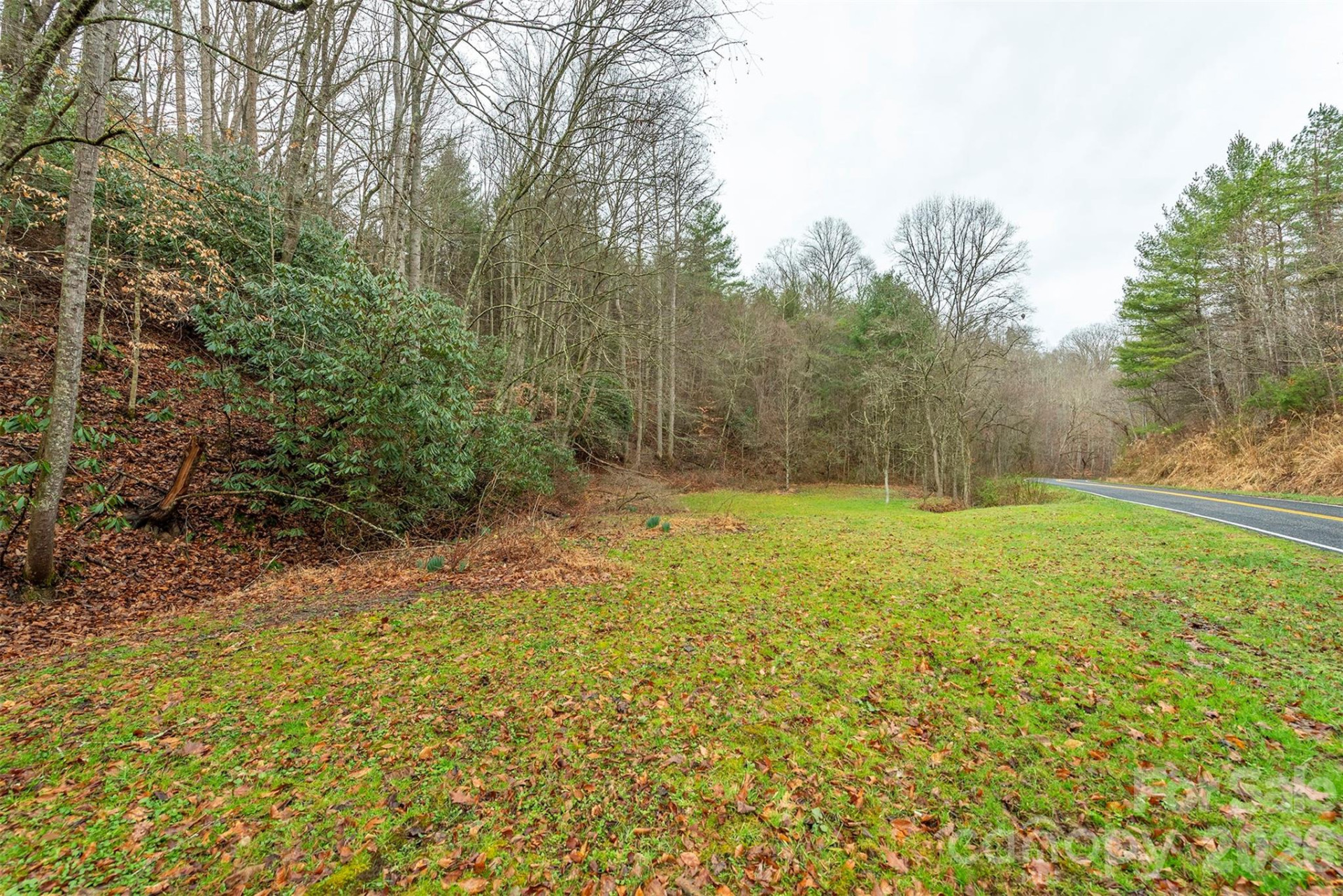 1974 Ammons Branch Road - Photo 8