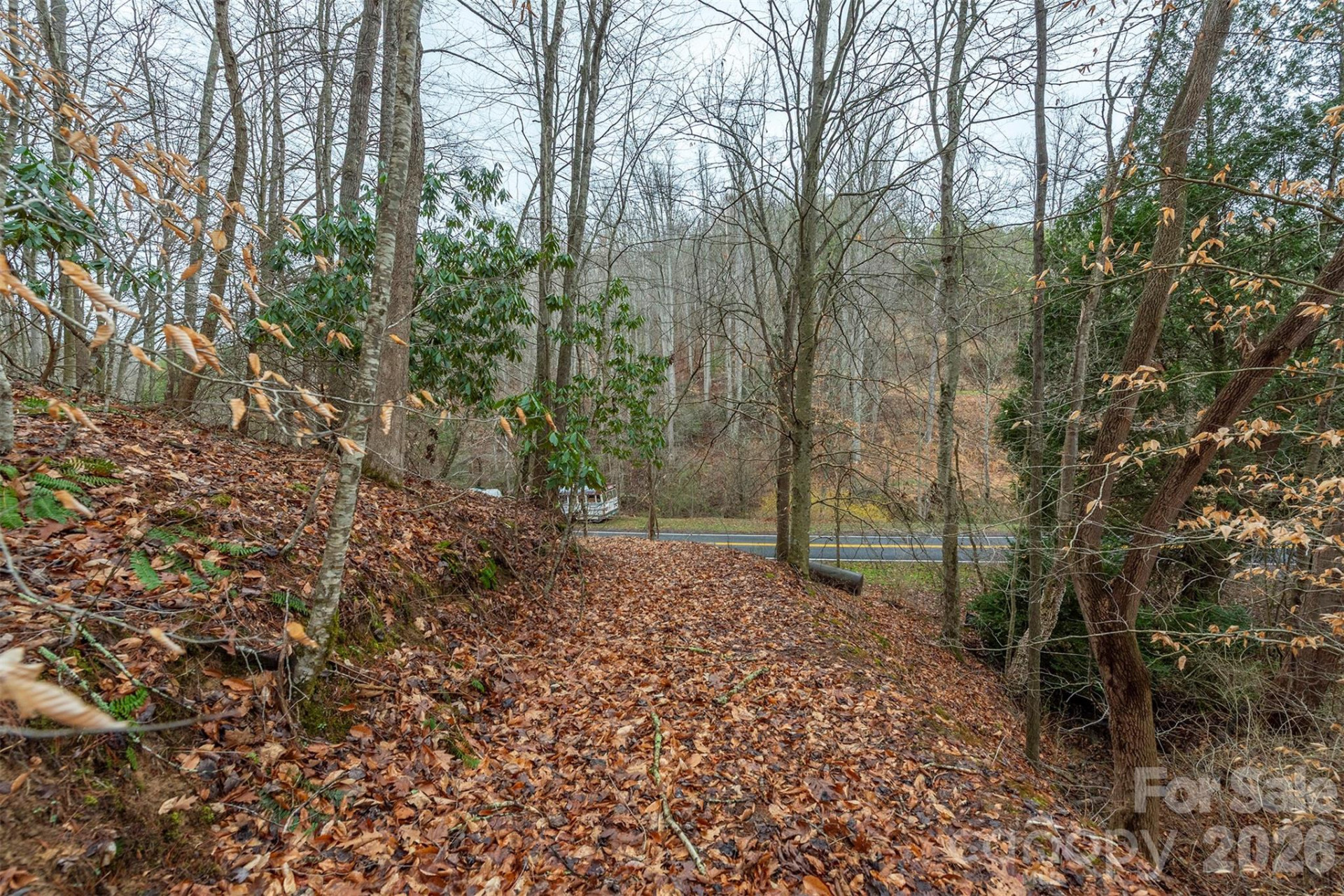 1974 Ammons Branch Road - Photo 9