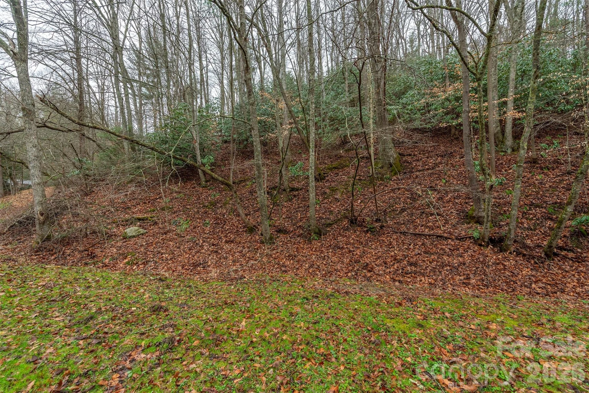 1974 Ammons Branch Road - Photo 10