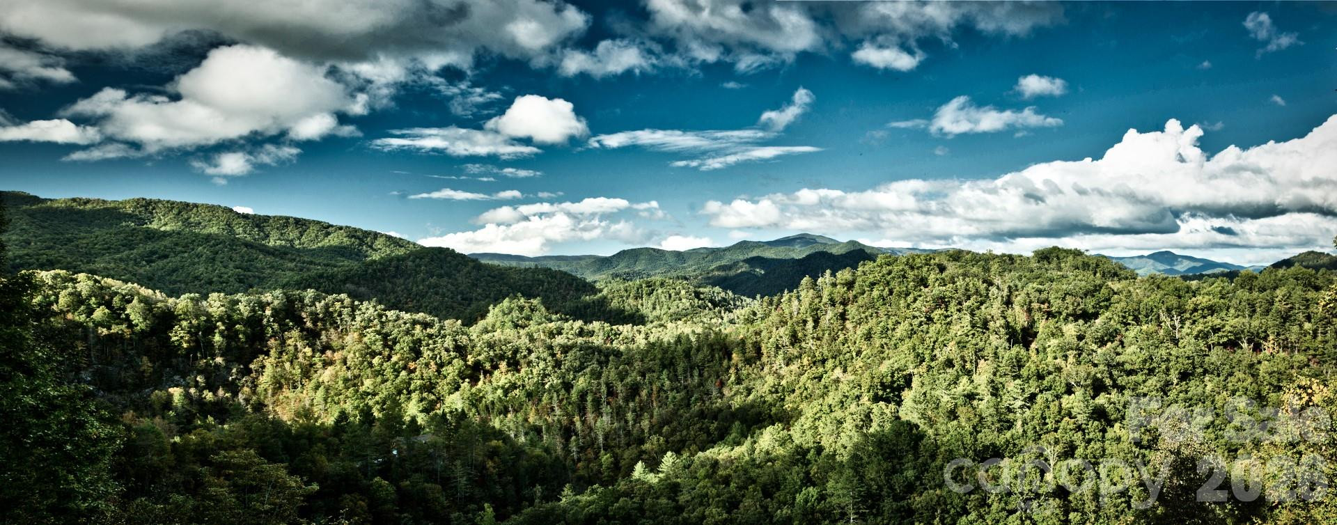 55 Laurel Ridge - Photo 9