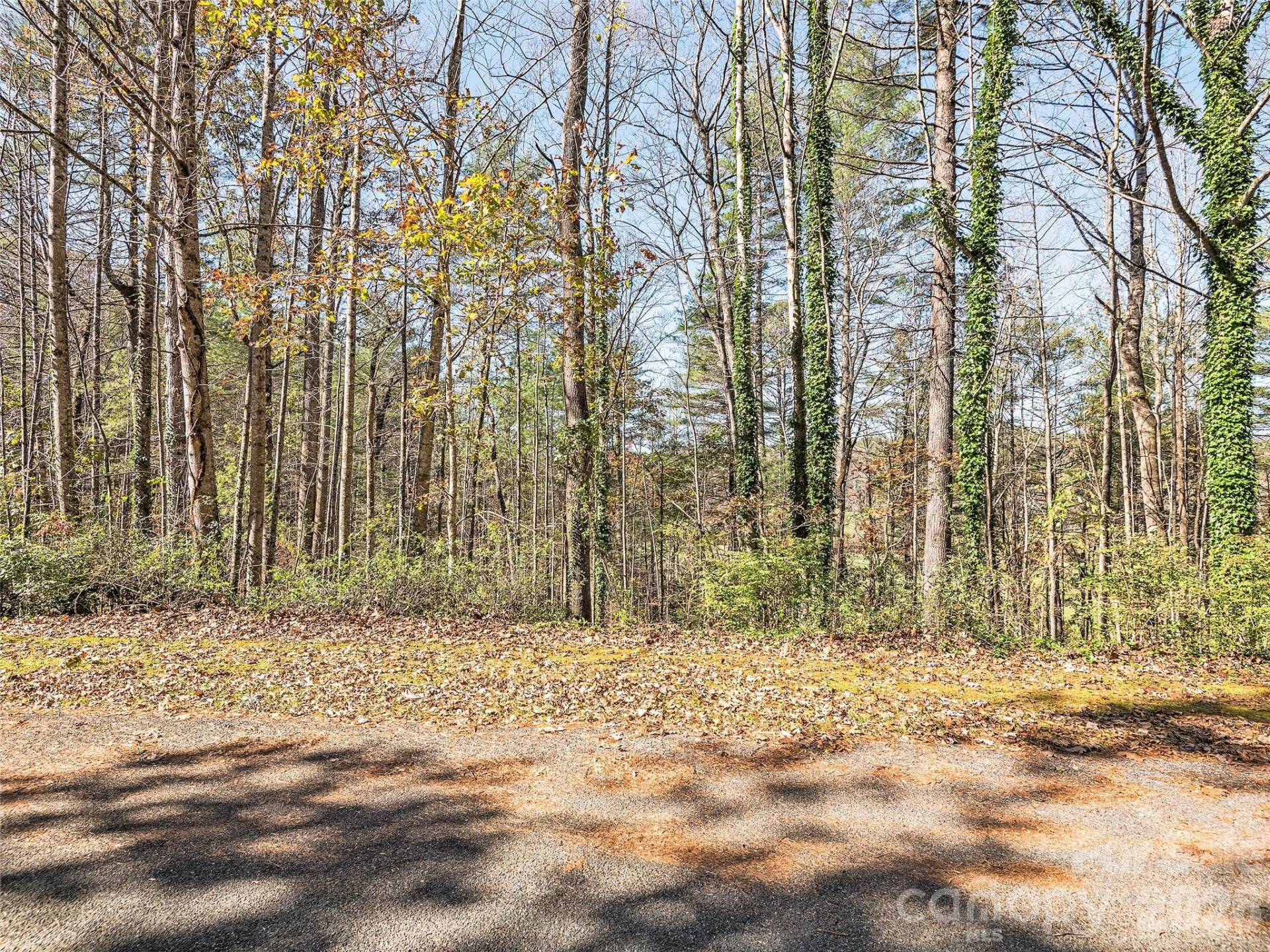 LOT 14 Mountain Lakes Drive #14 - Photo 5