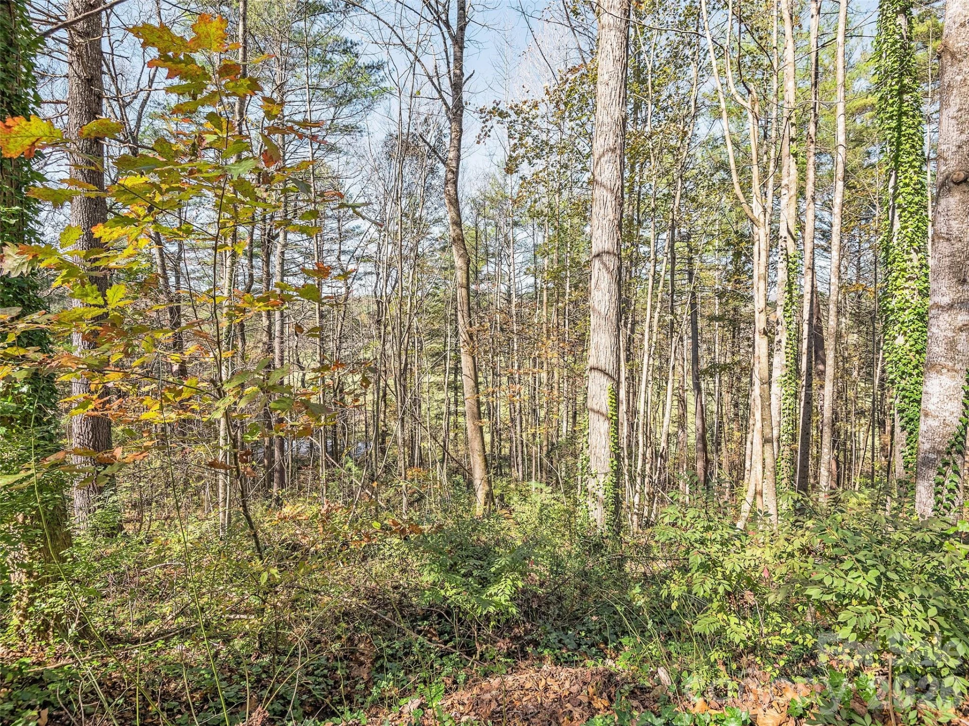 LOT 14 Mountain Lakes Drive #14 - Photo 6