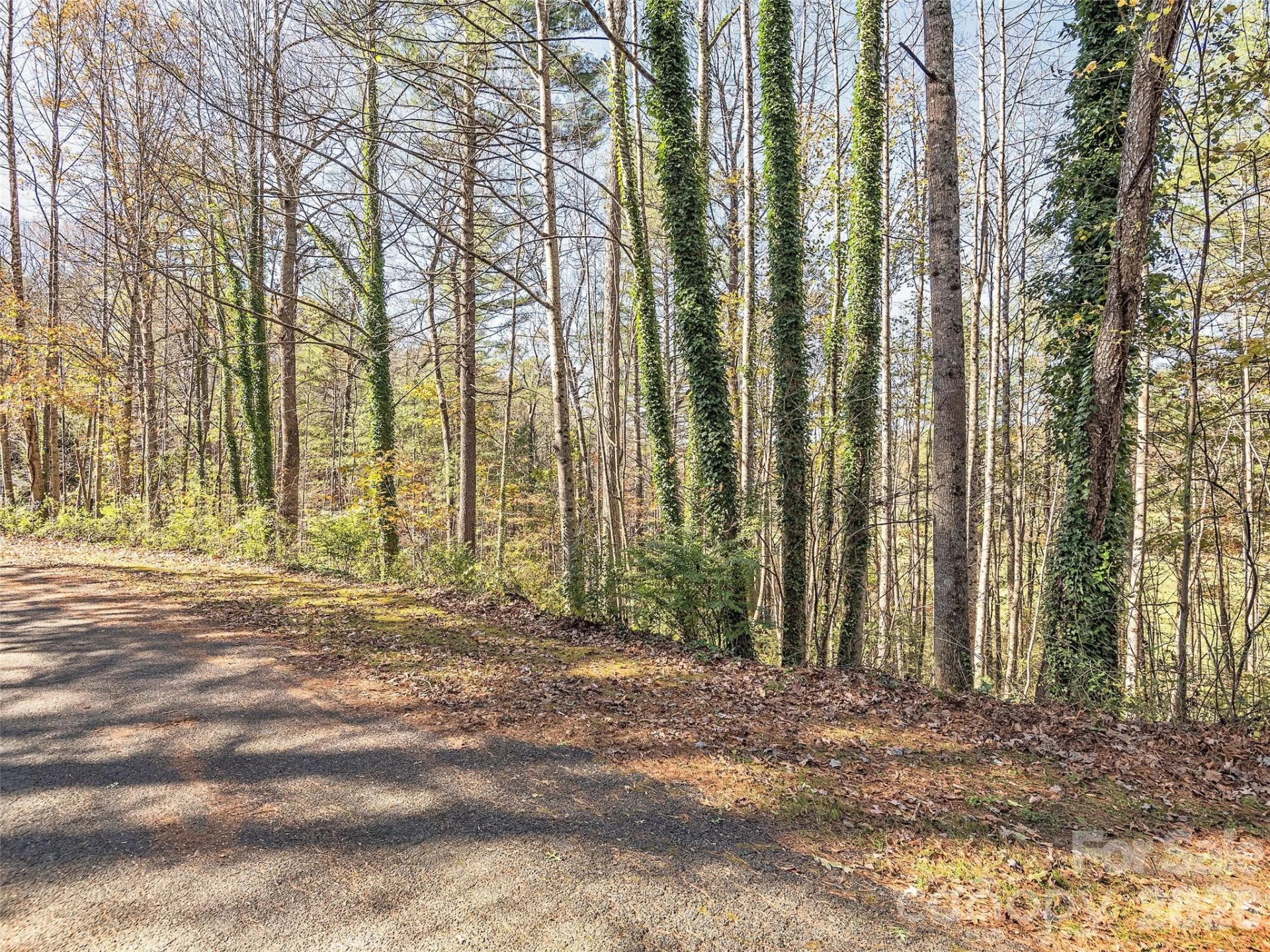 LOT 14 Mountain Lakes Drive #14 - Photo 7