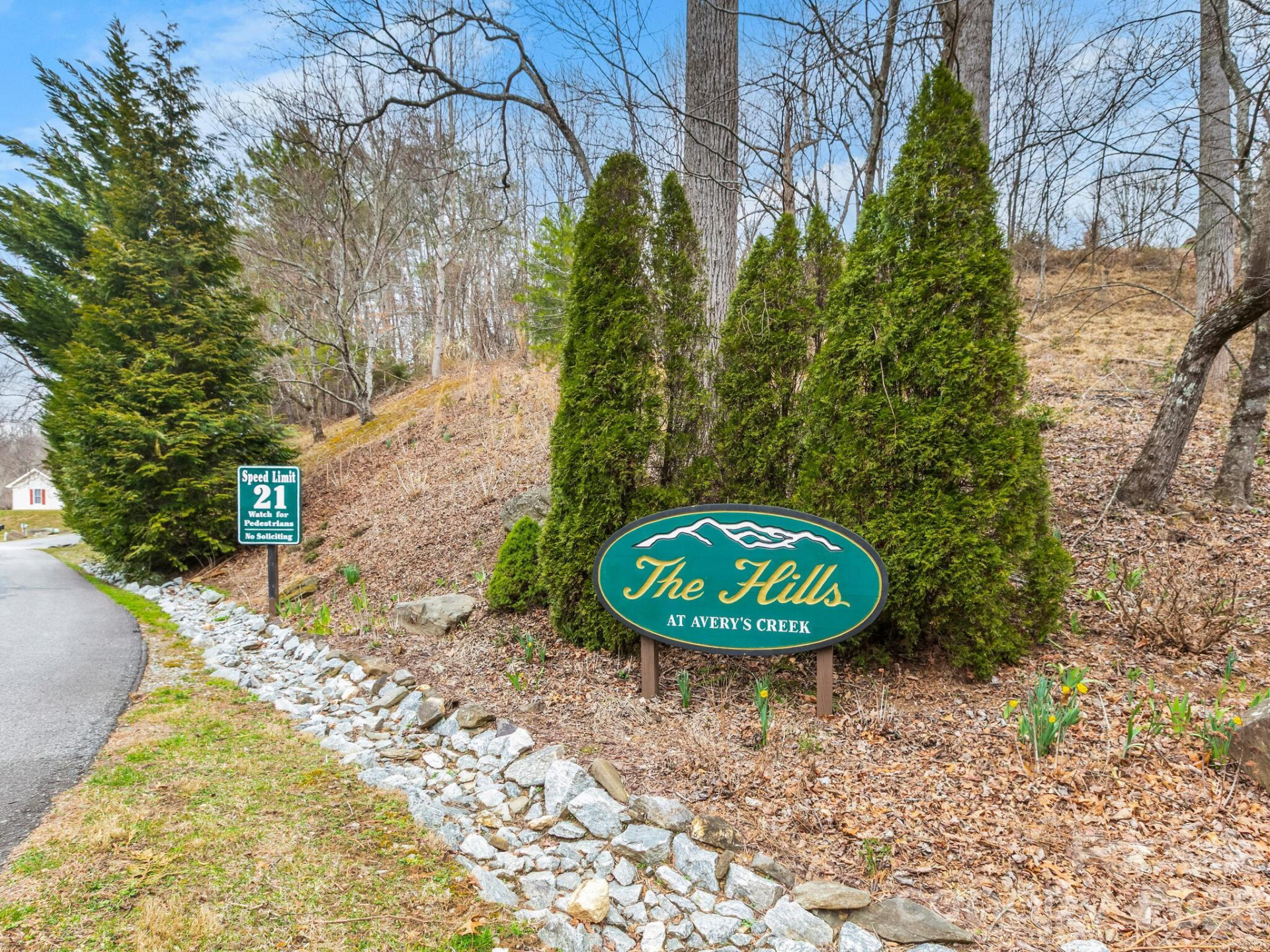 234 Rocky Mountain Way - Photo 27