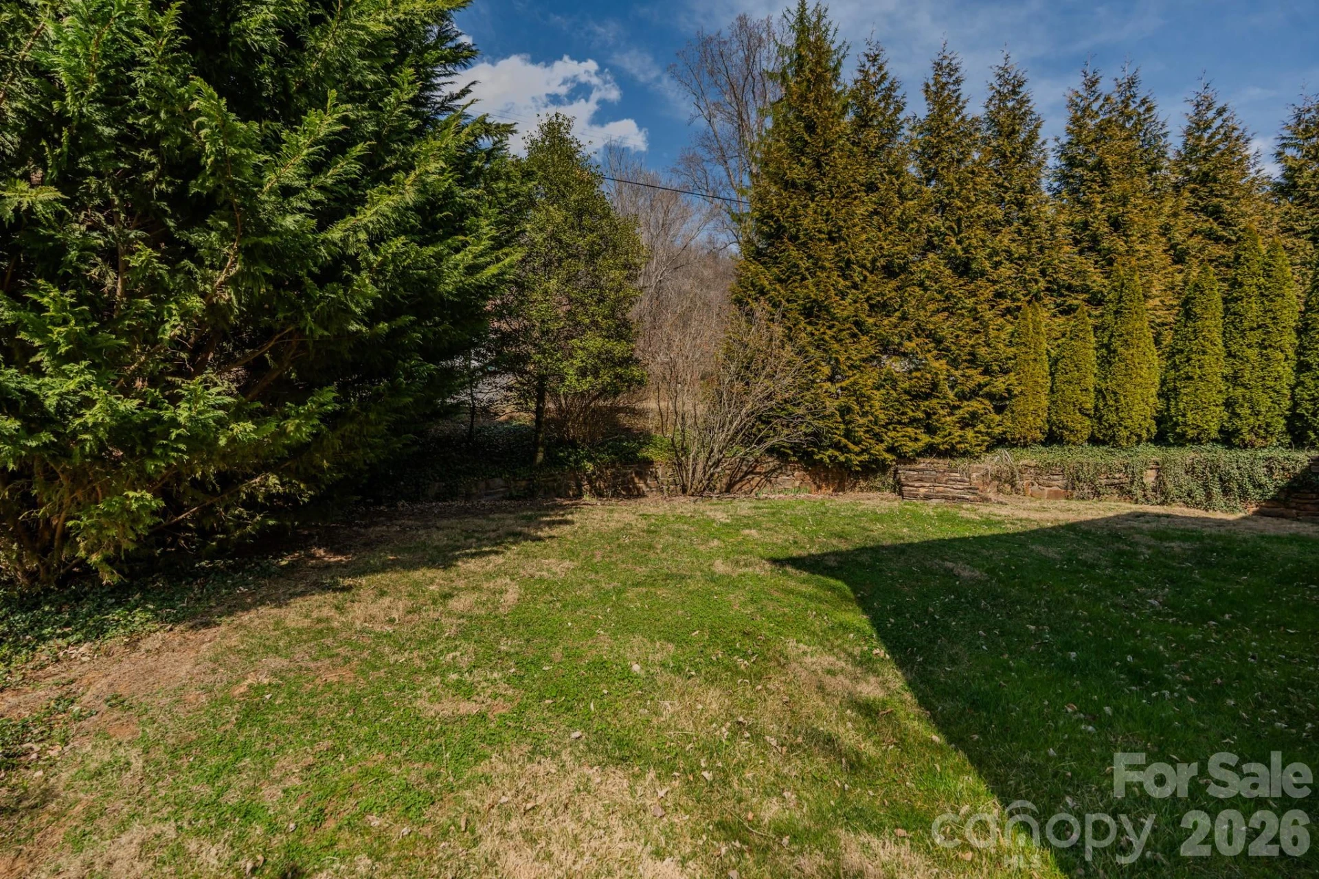 50 Griffing Boulevard - Photo 4