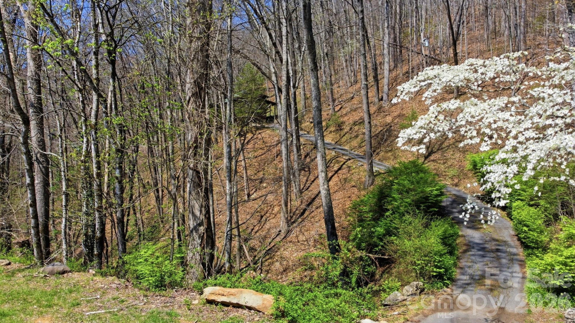 1837 Alarka Road - Photo 11