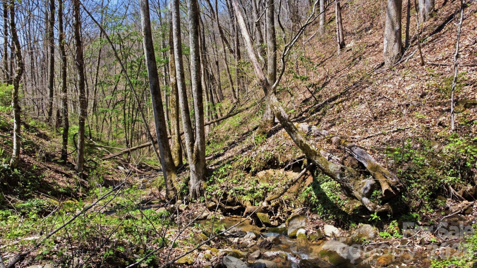 1837 Alarka Road - Photo 12