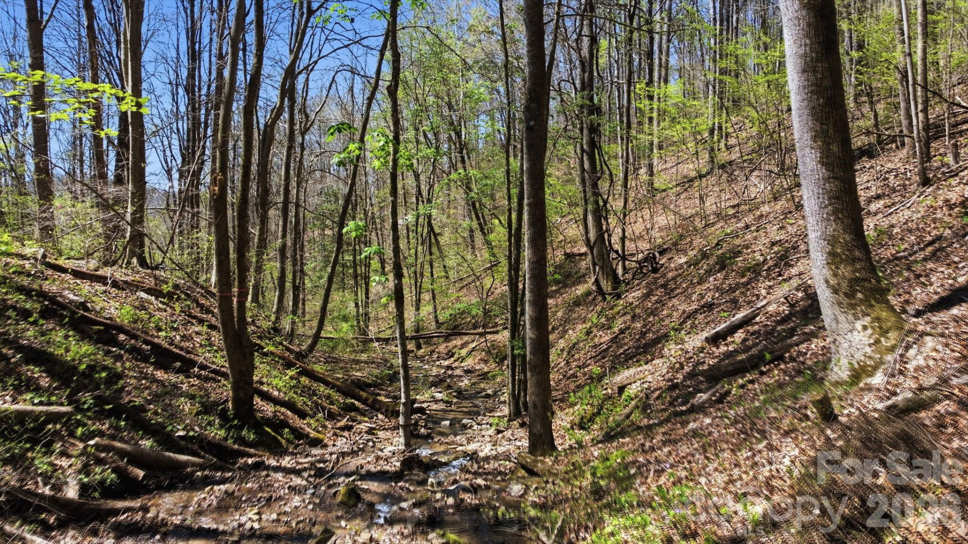 1837 Alarka Road - Photo 13