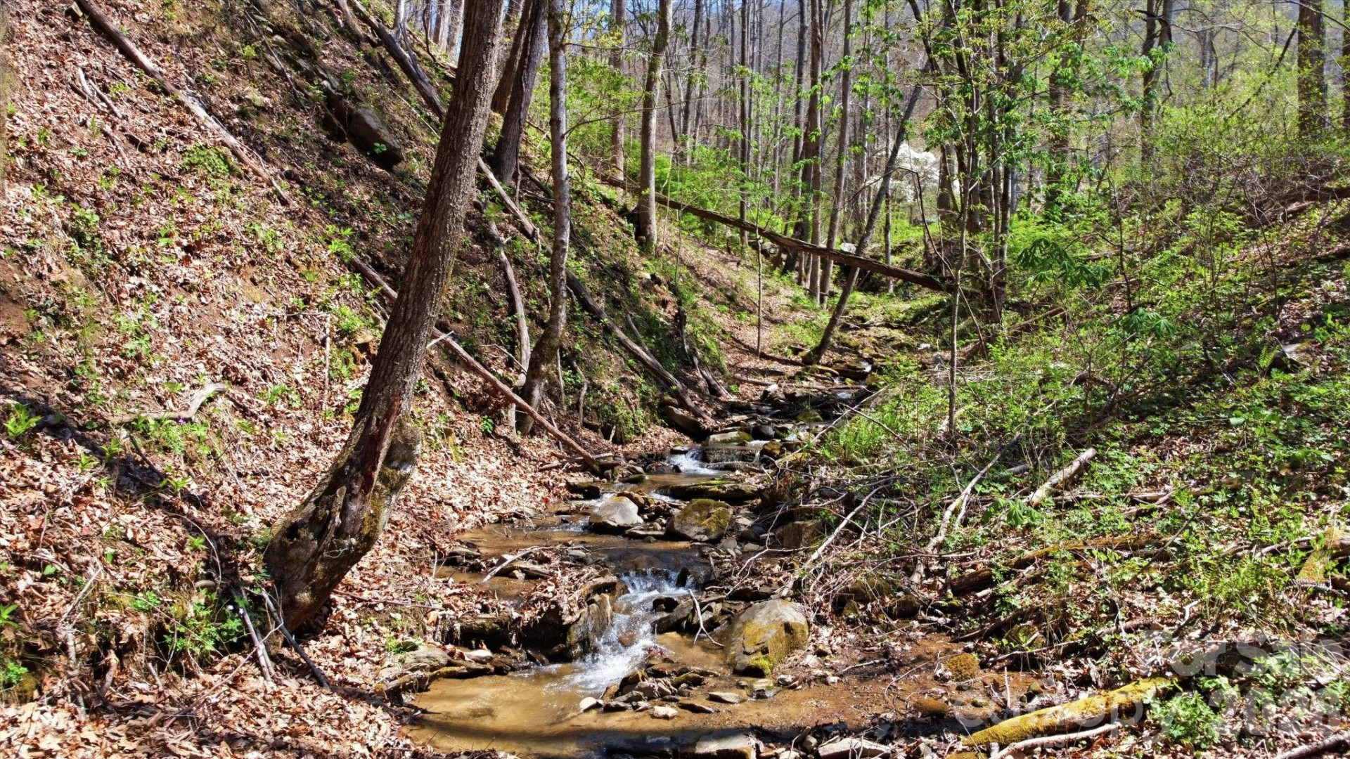 1837 Alarka Road - Photo 14