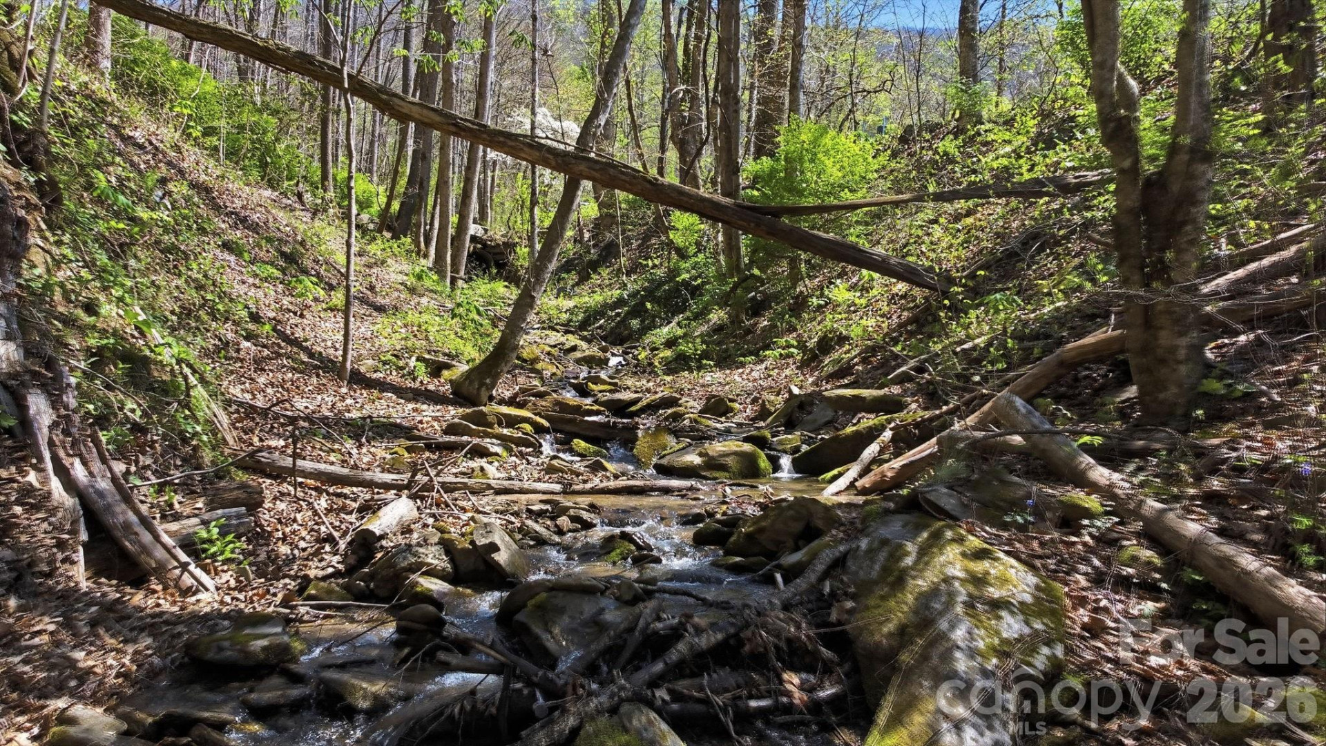 1837 Alarka Road - Photo 15