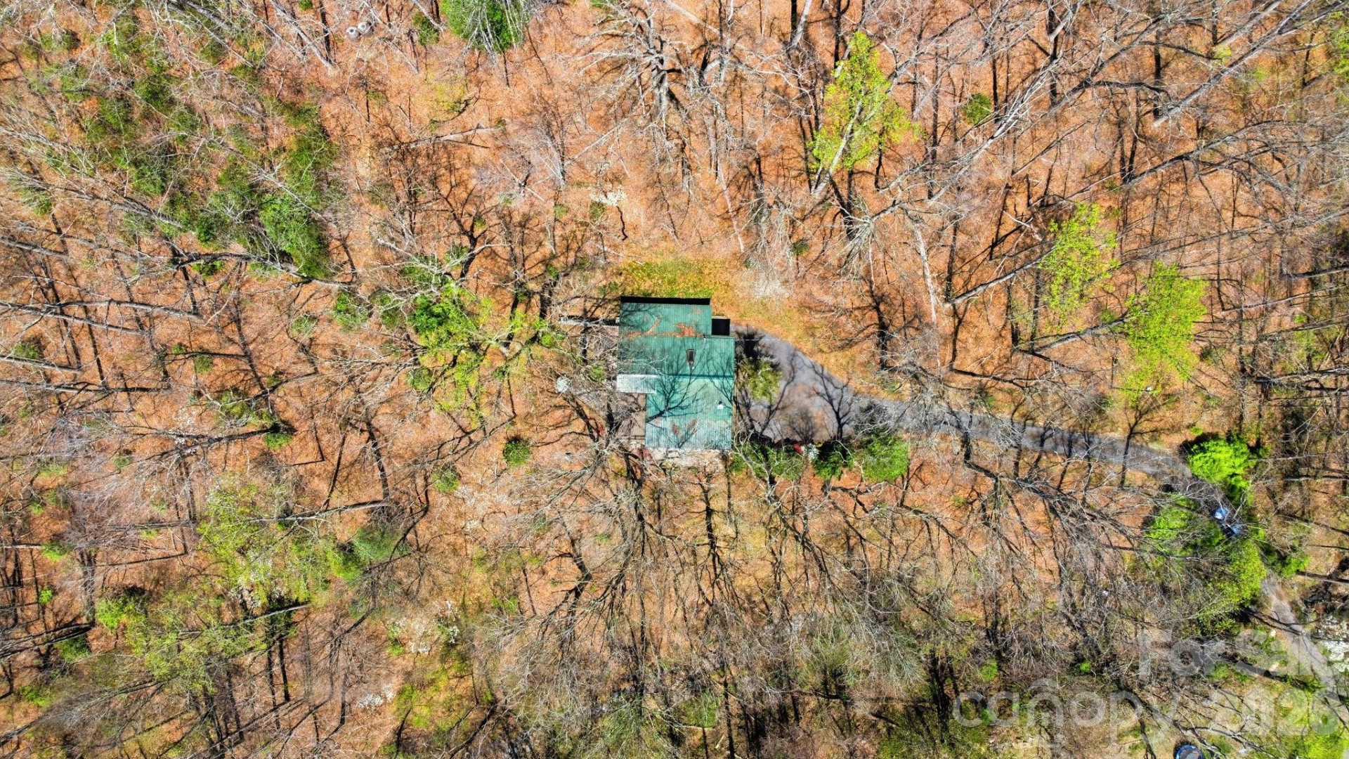 1837 Alarka Road - Photo 7