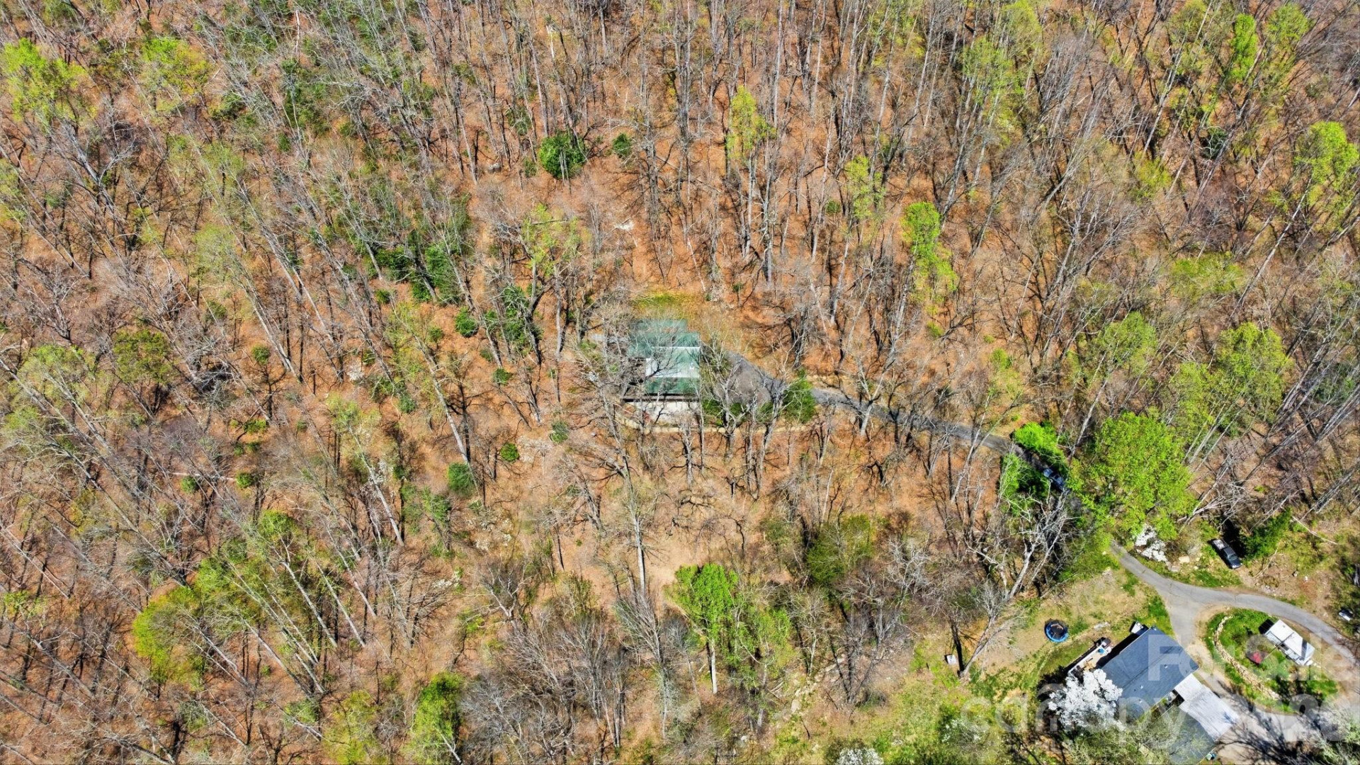 1837 Alarka Road - Photo 8