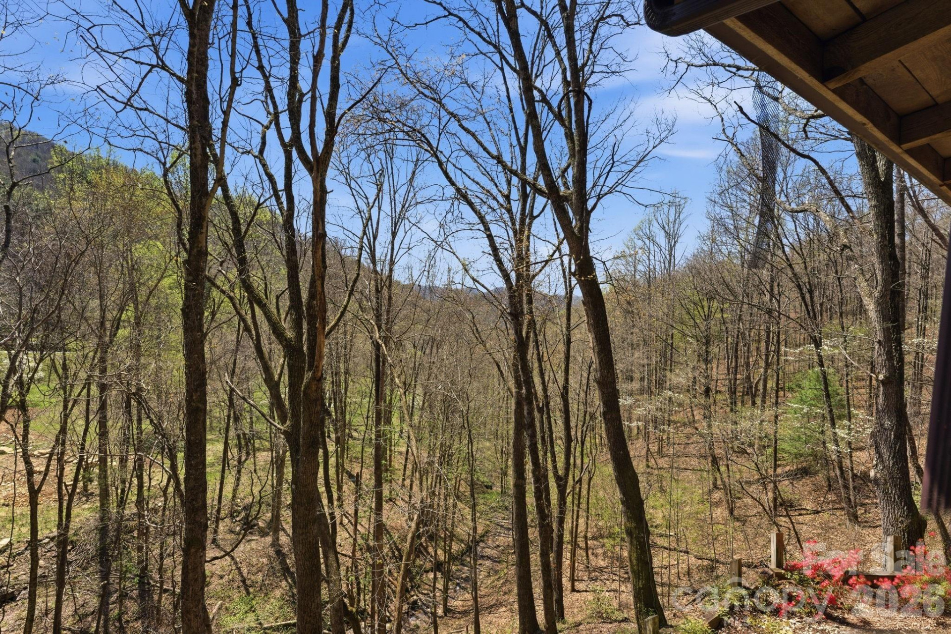 1837 Alarka Road - Photo 9