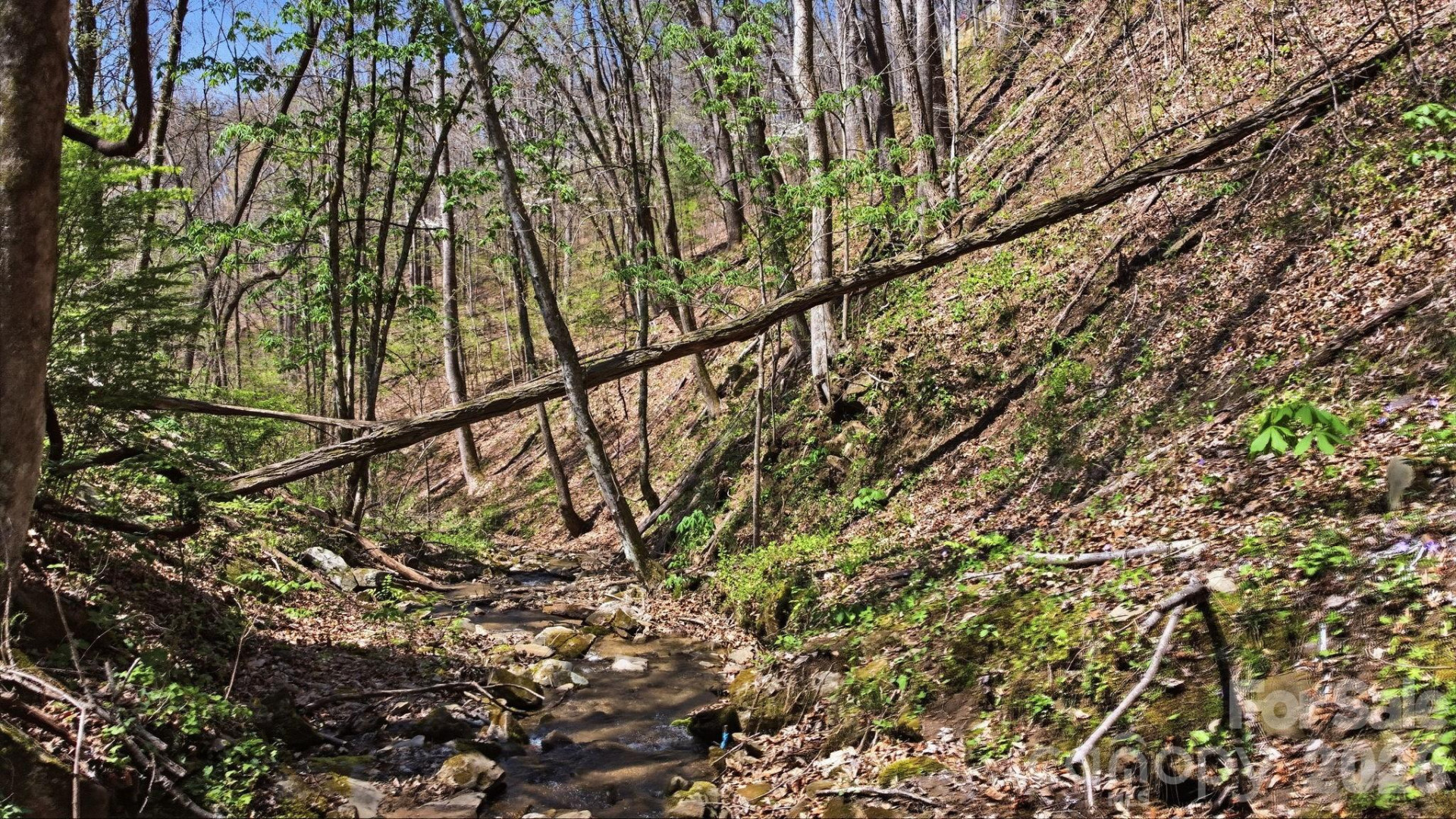 1837 Alarka Road - Photo 10