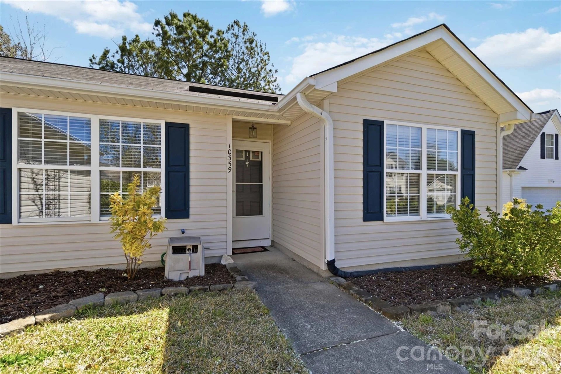 10359 Gold Pan Road - Photo 3