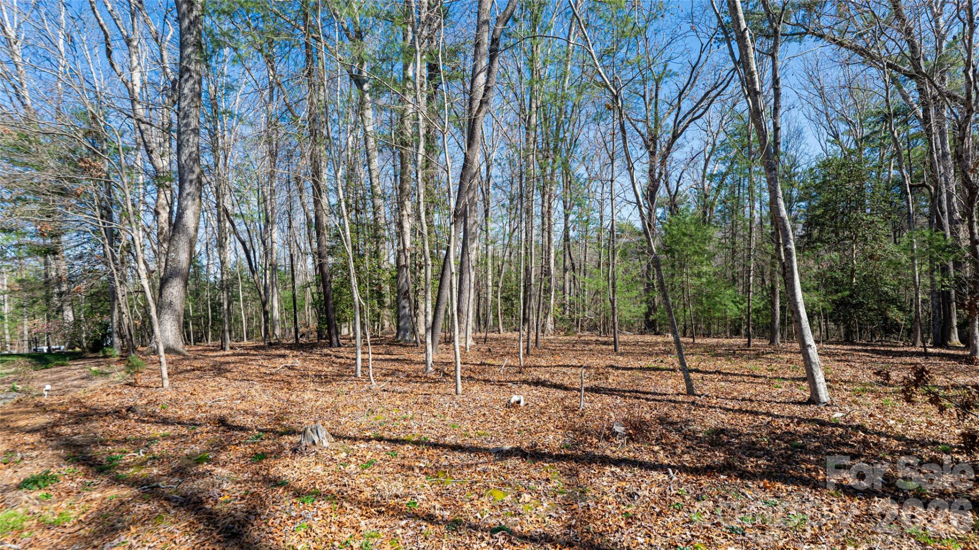 12 Stuyvesant Crescent - Photo 44