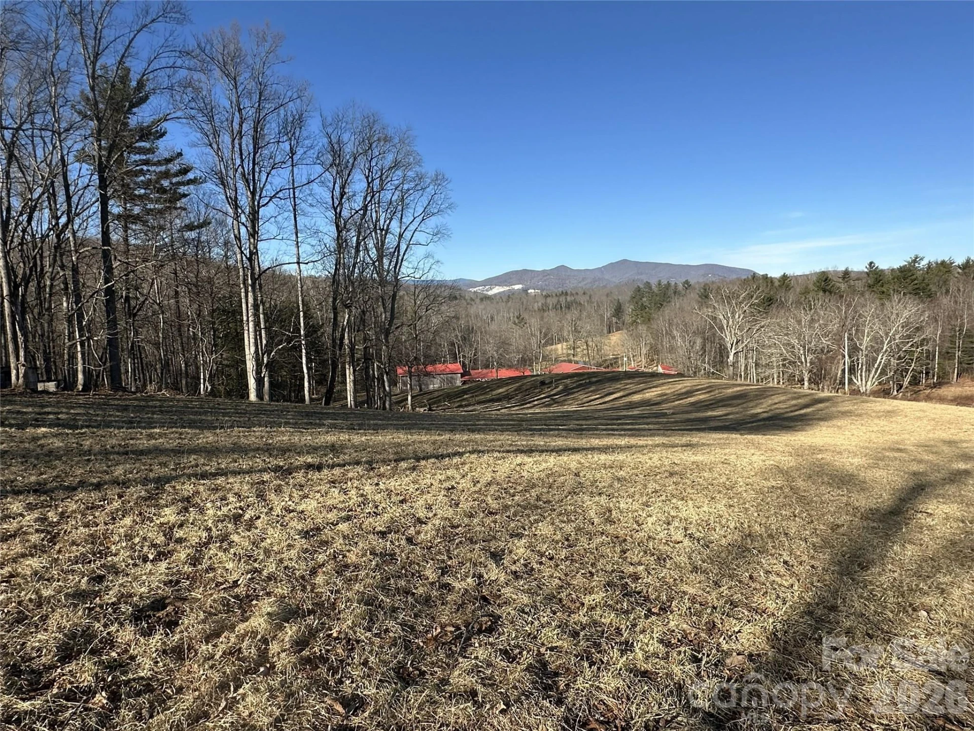 1050 Dale Road - Photo 12