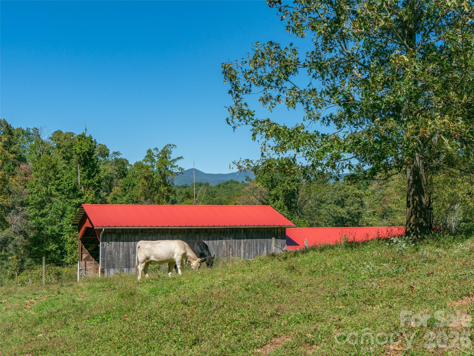 1050 Dale Road - Photo 17