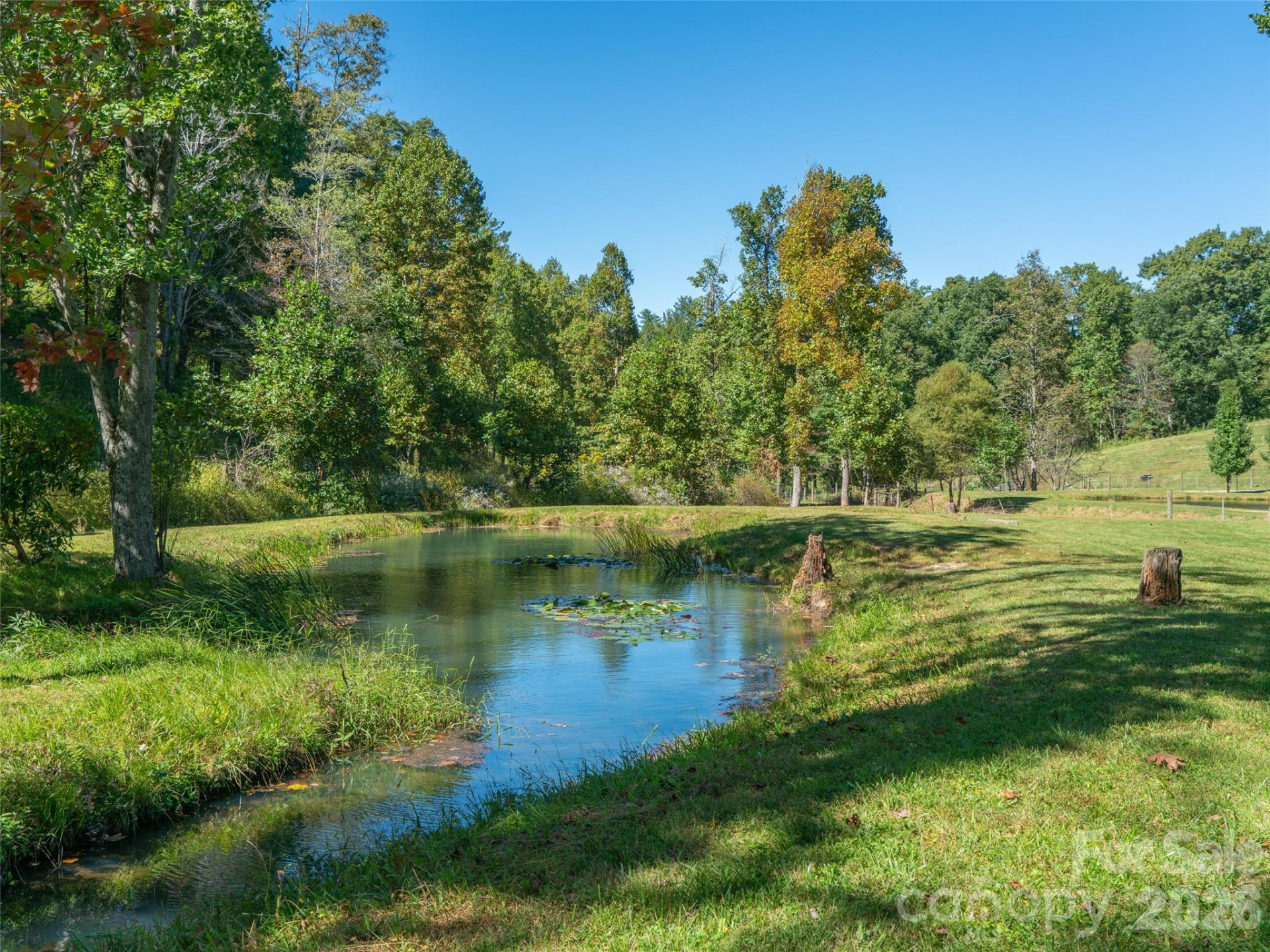 1050 Dale Road - Photo 28