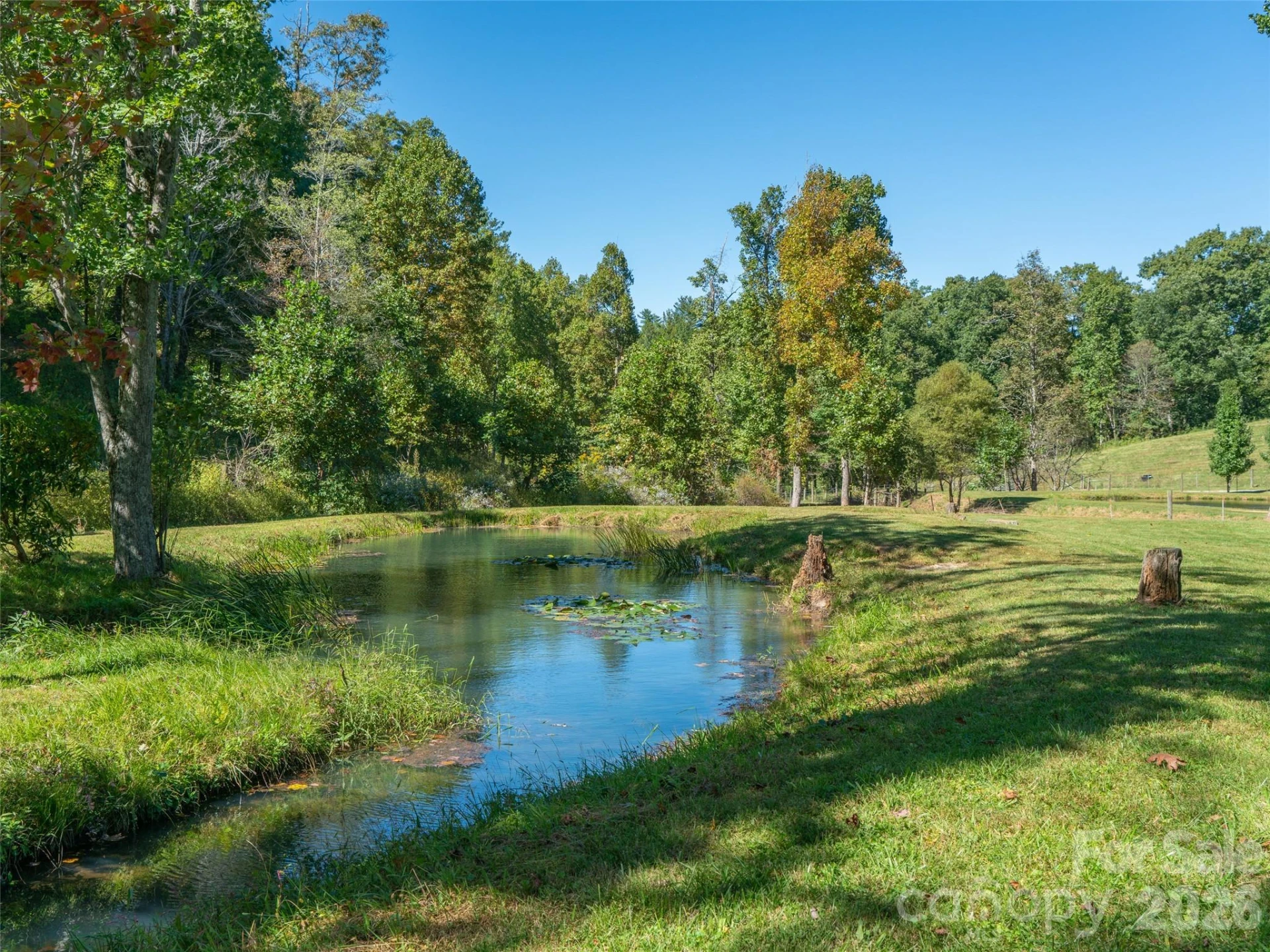 1050 Dale Road - Photo 28