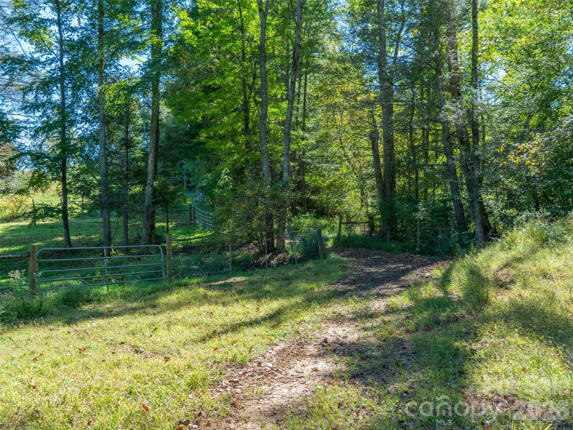 1050 Dale Road - Photo 29