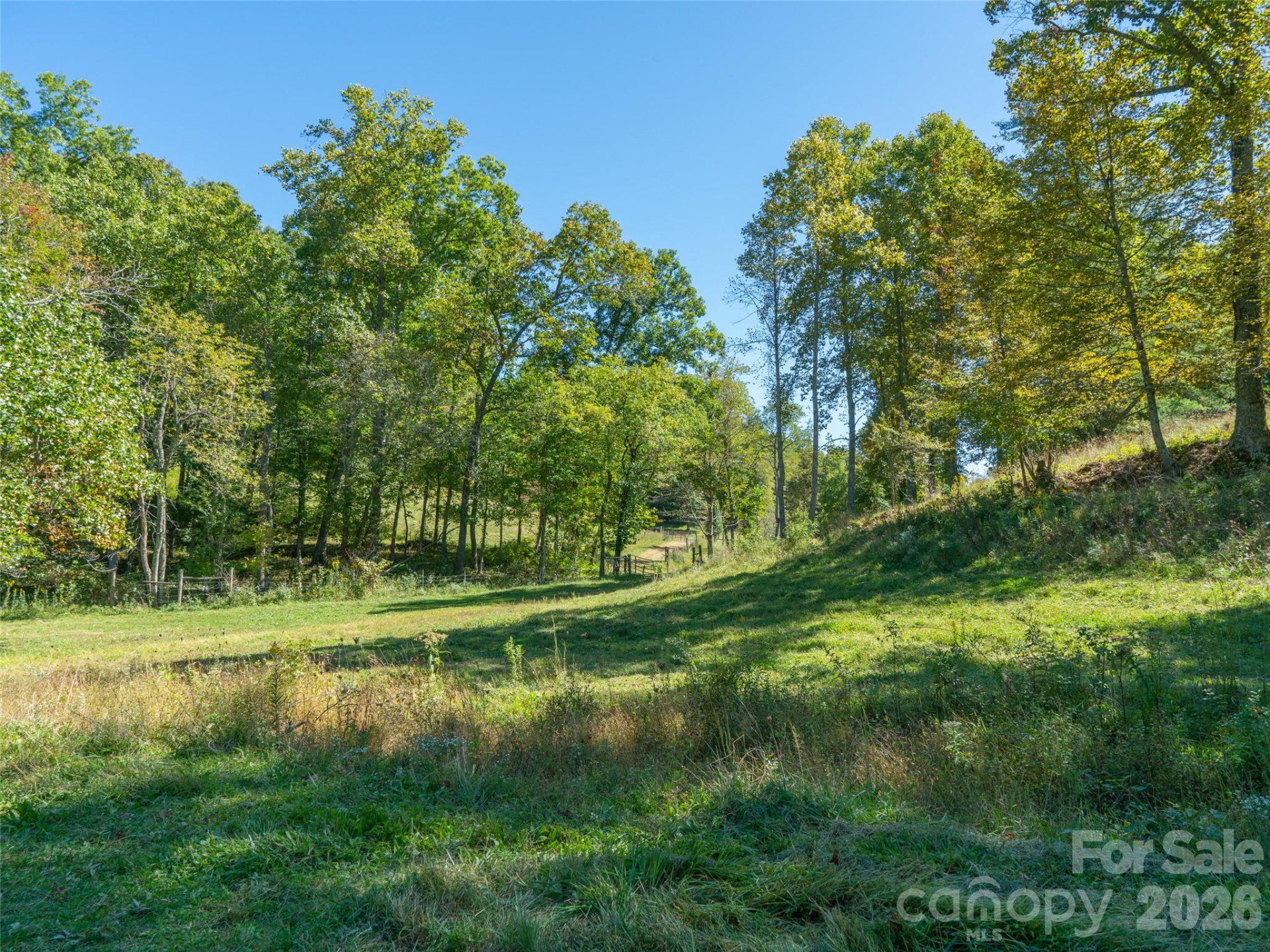 1050 Dale Road - Photo 30