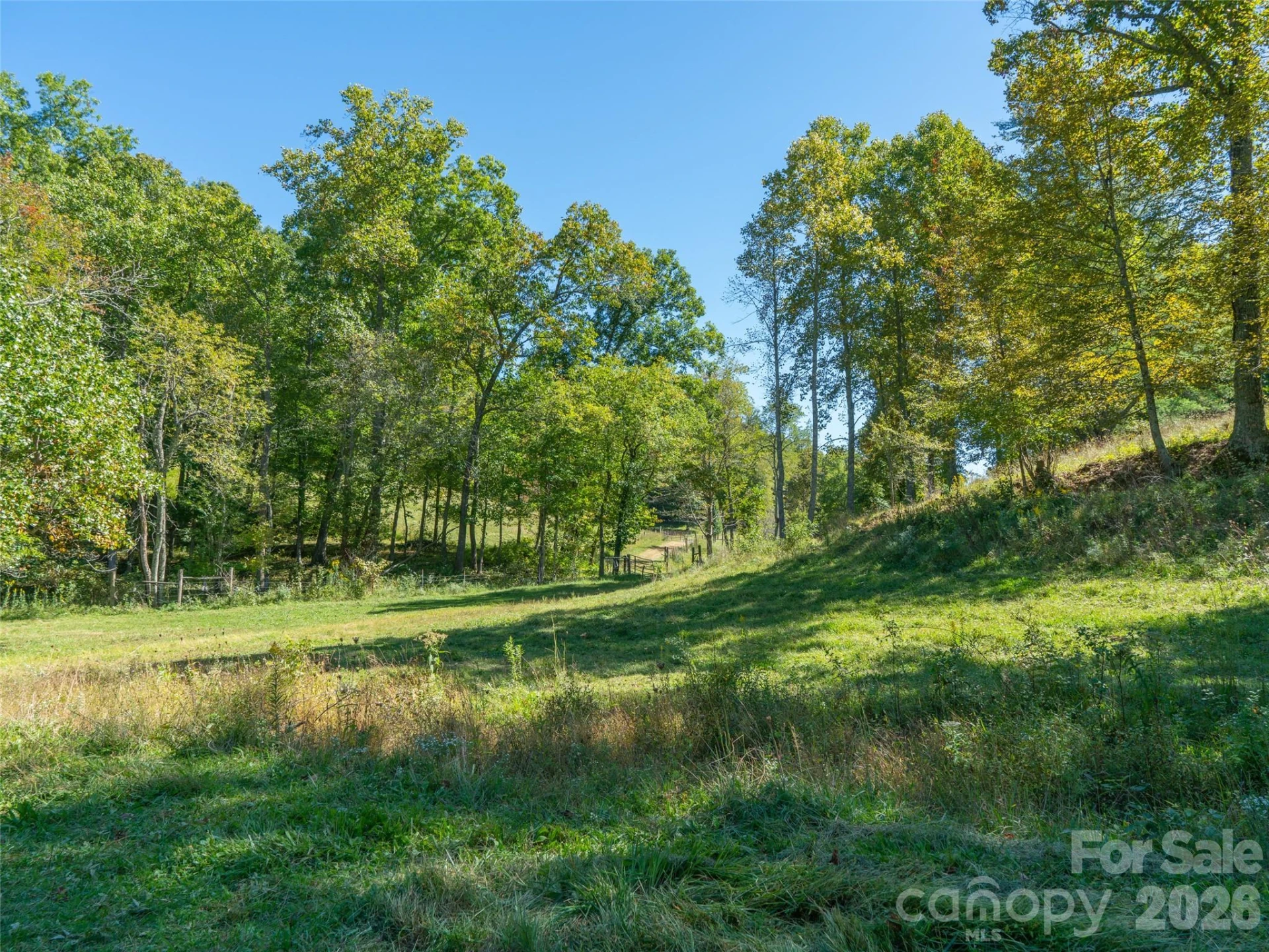 1050 Dale Road - Photo 30