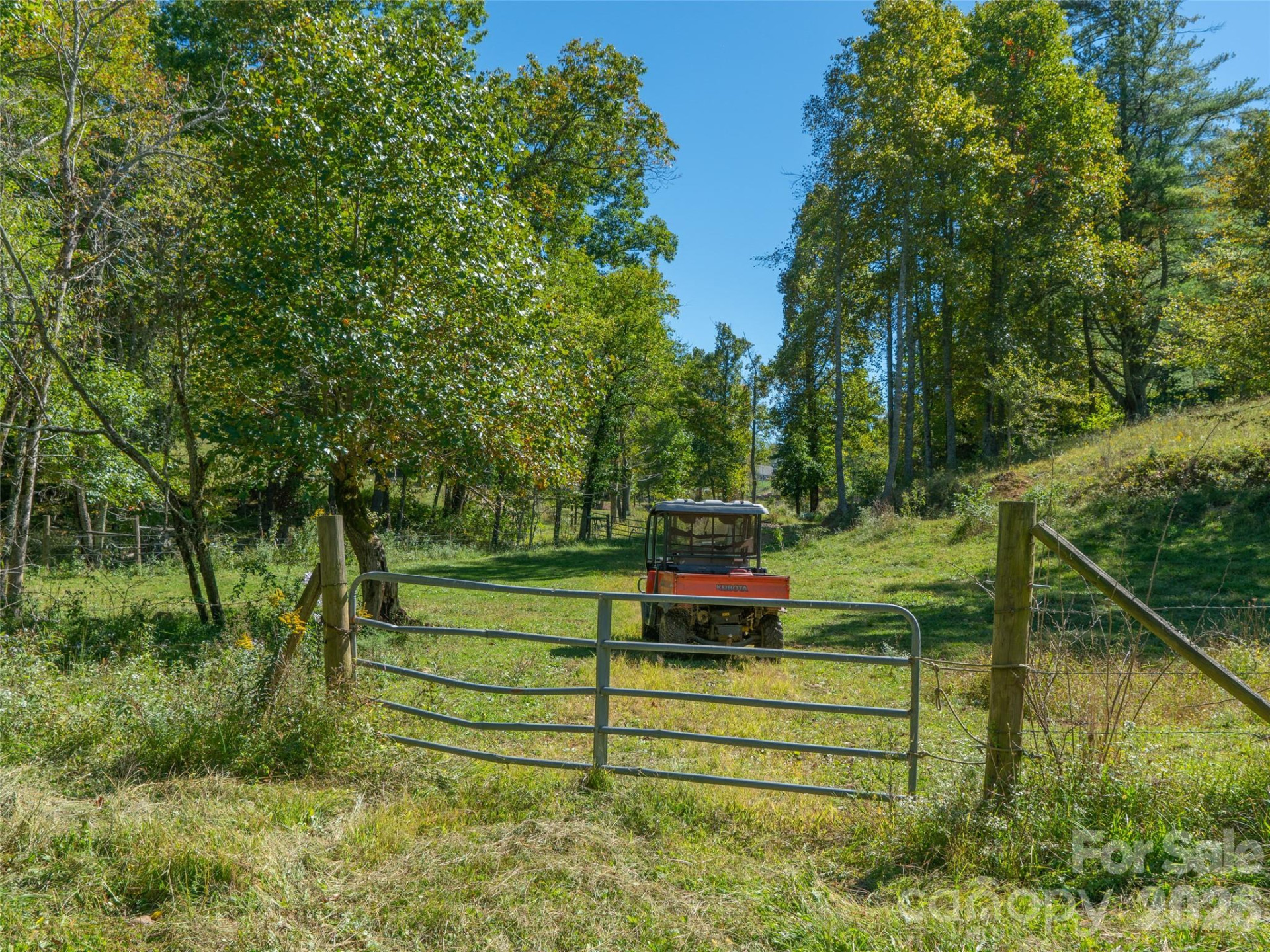 1050 Dale Road - Photo 31